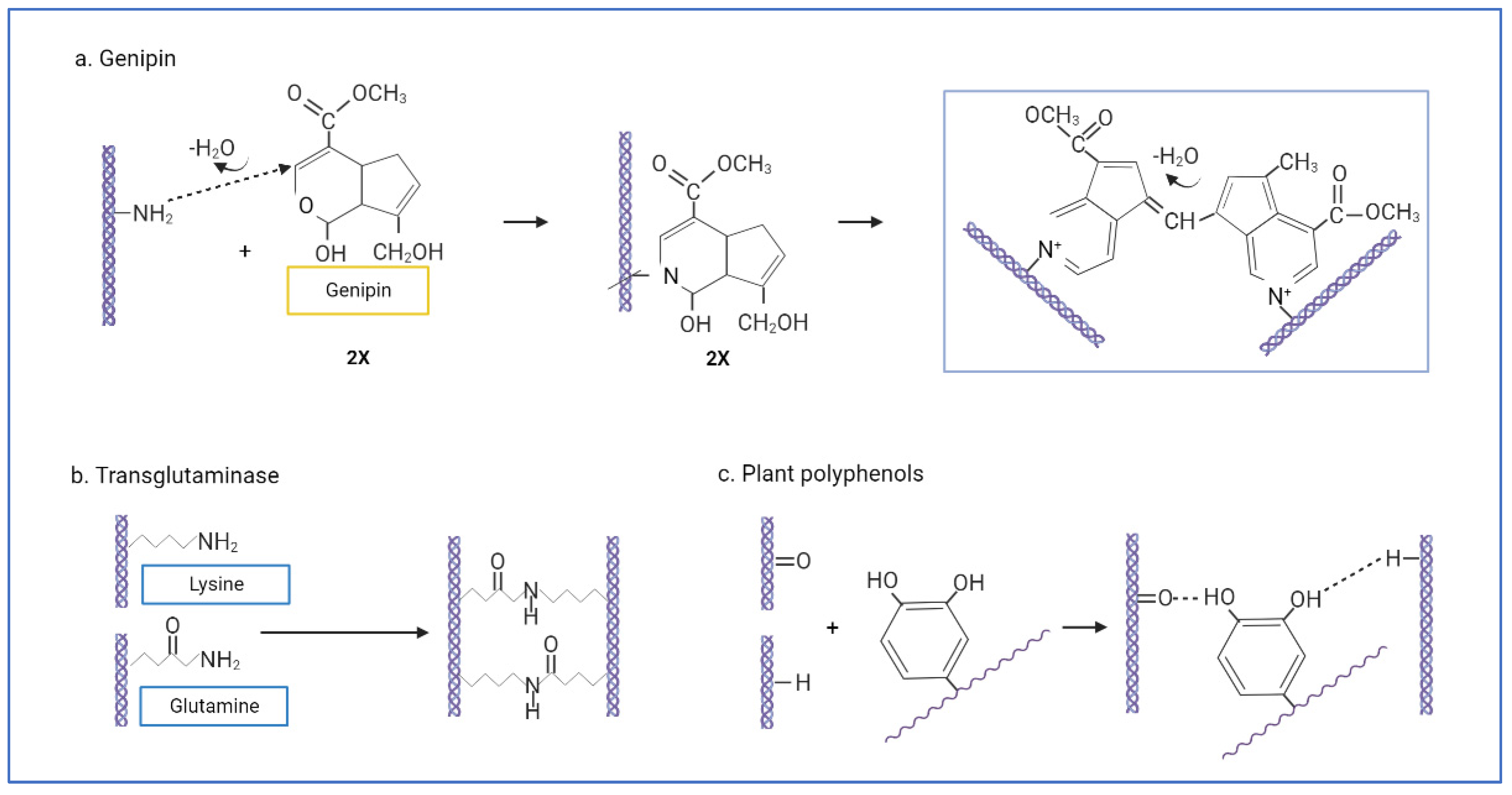 Biomedicines 10 02307 sch002