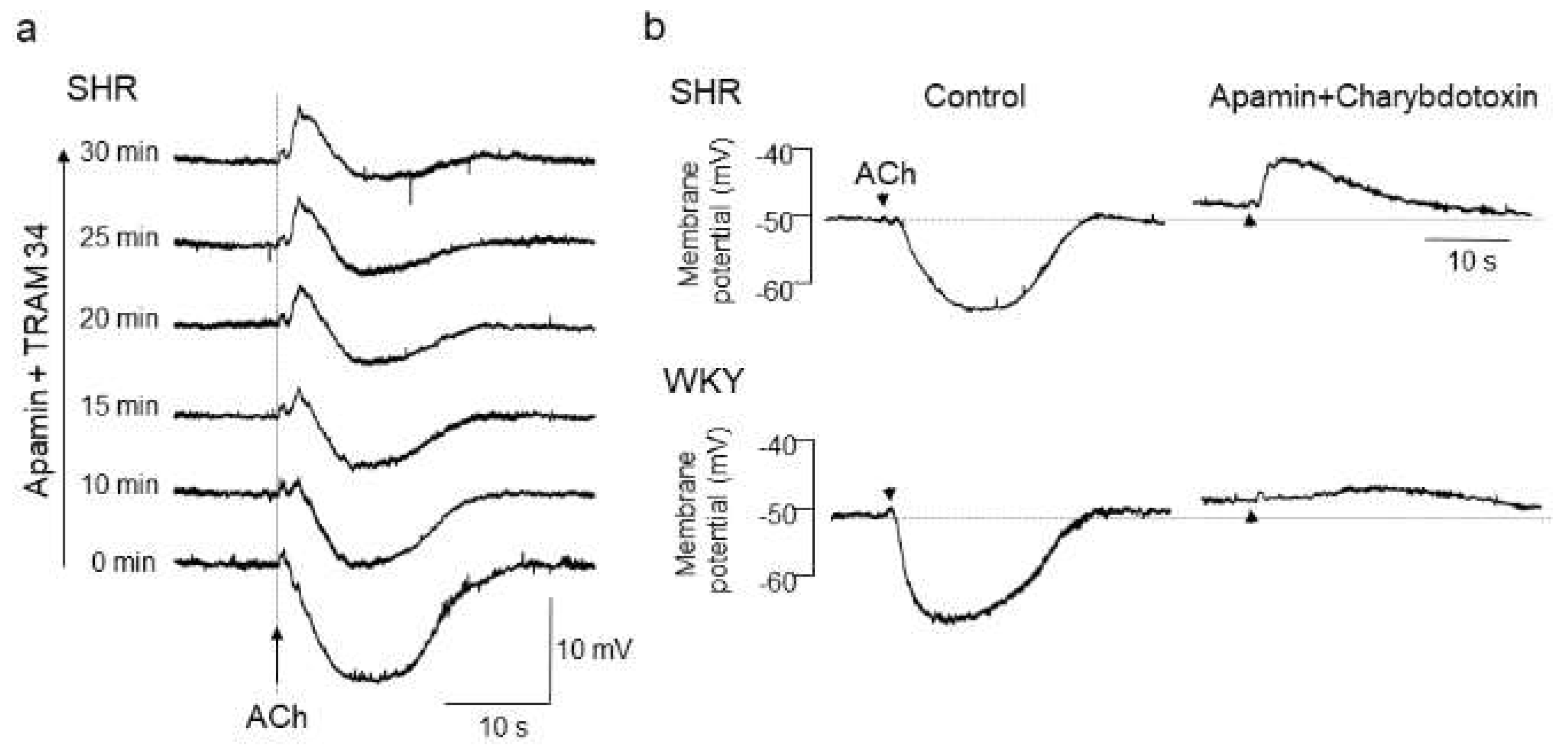 Biomedicines 10 02316 g001 Biomedicines 10 02316 g001