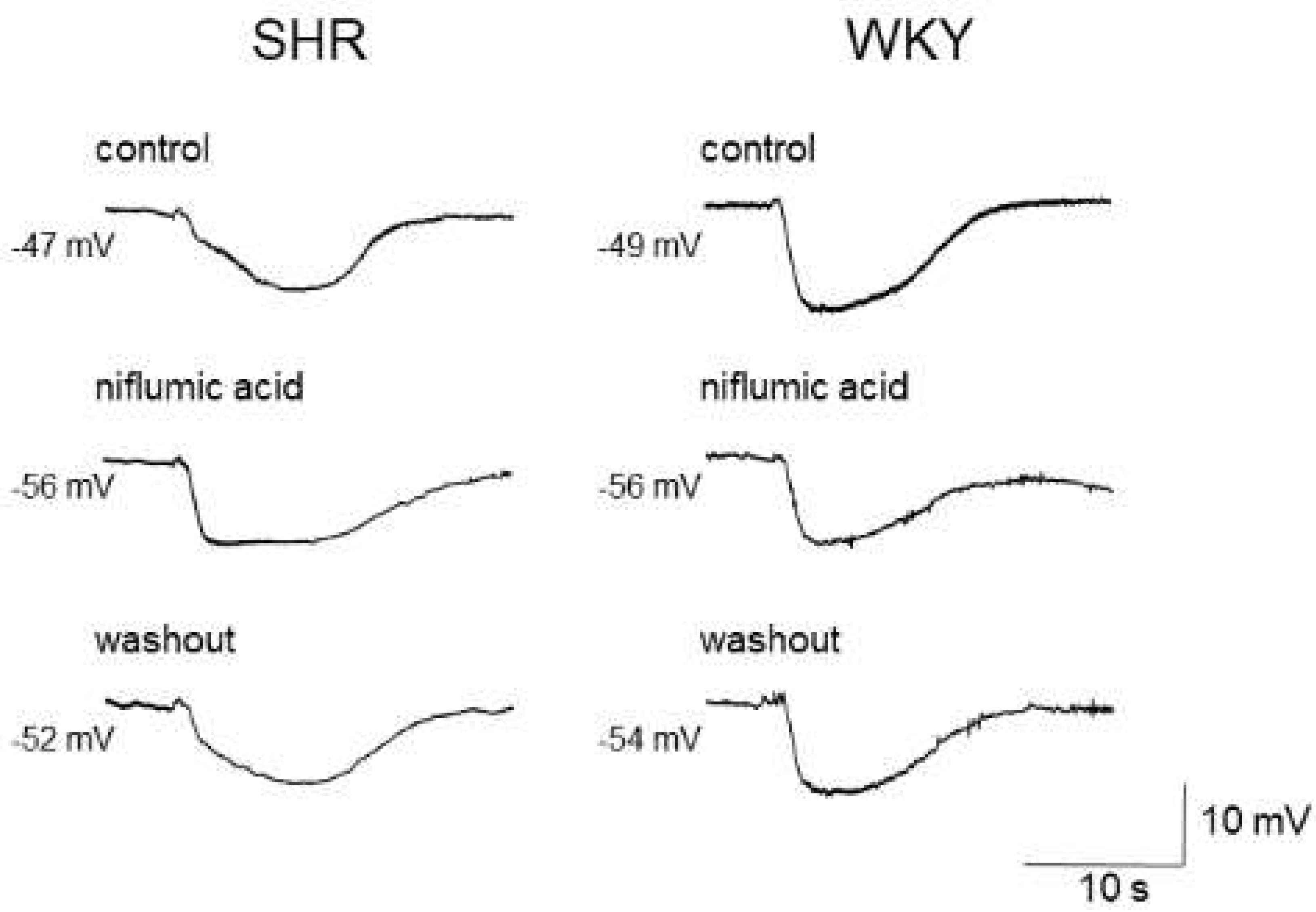 Biomedicines 10 02316 g002 Biomedicines 10 02316 g002