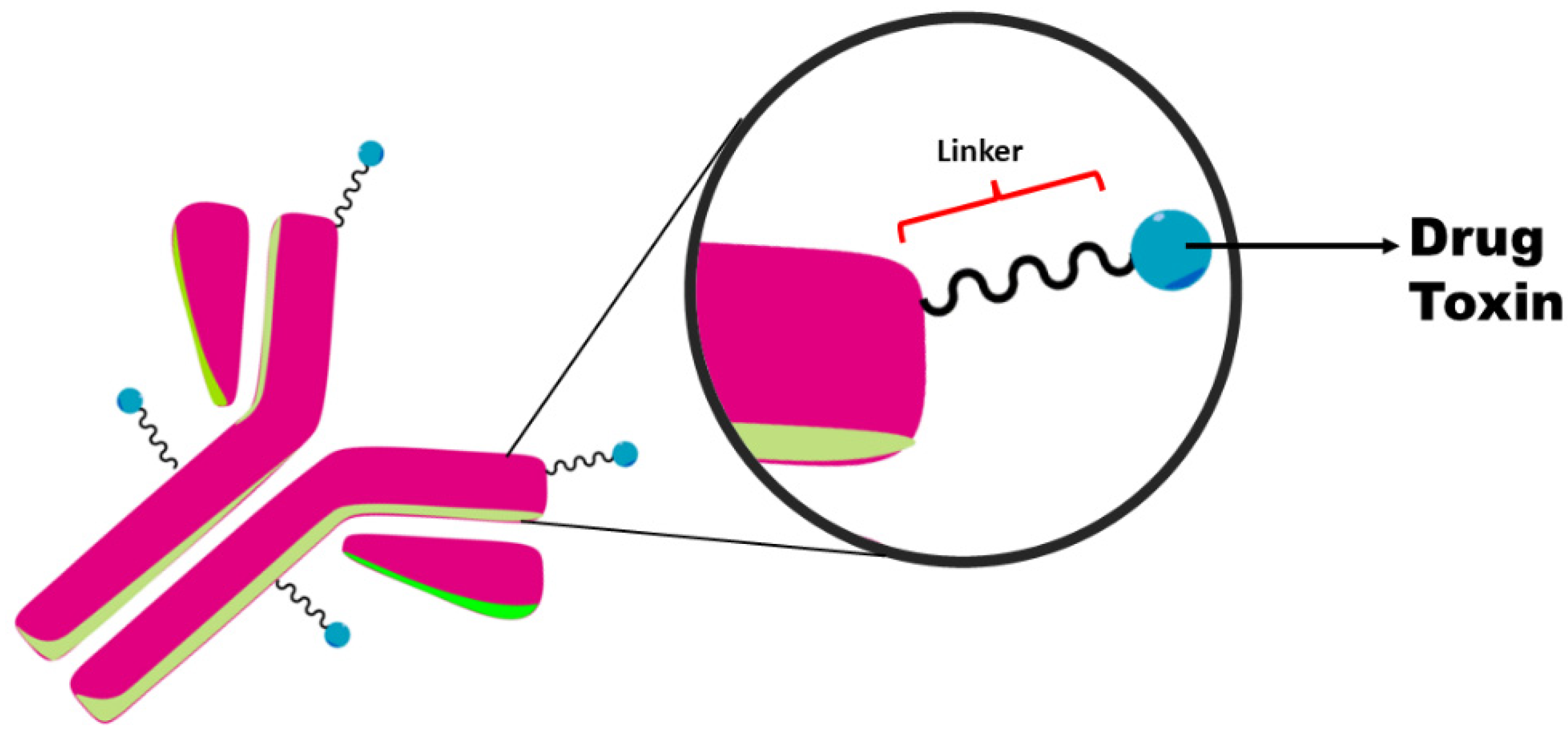 Biomedicines 10 02325 g001 Biomedicines 10 02325 g001