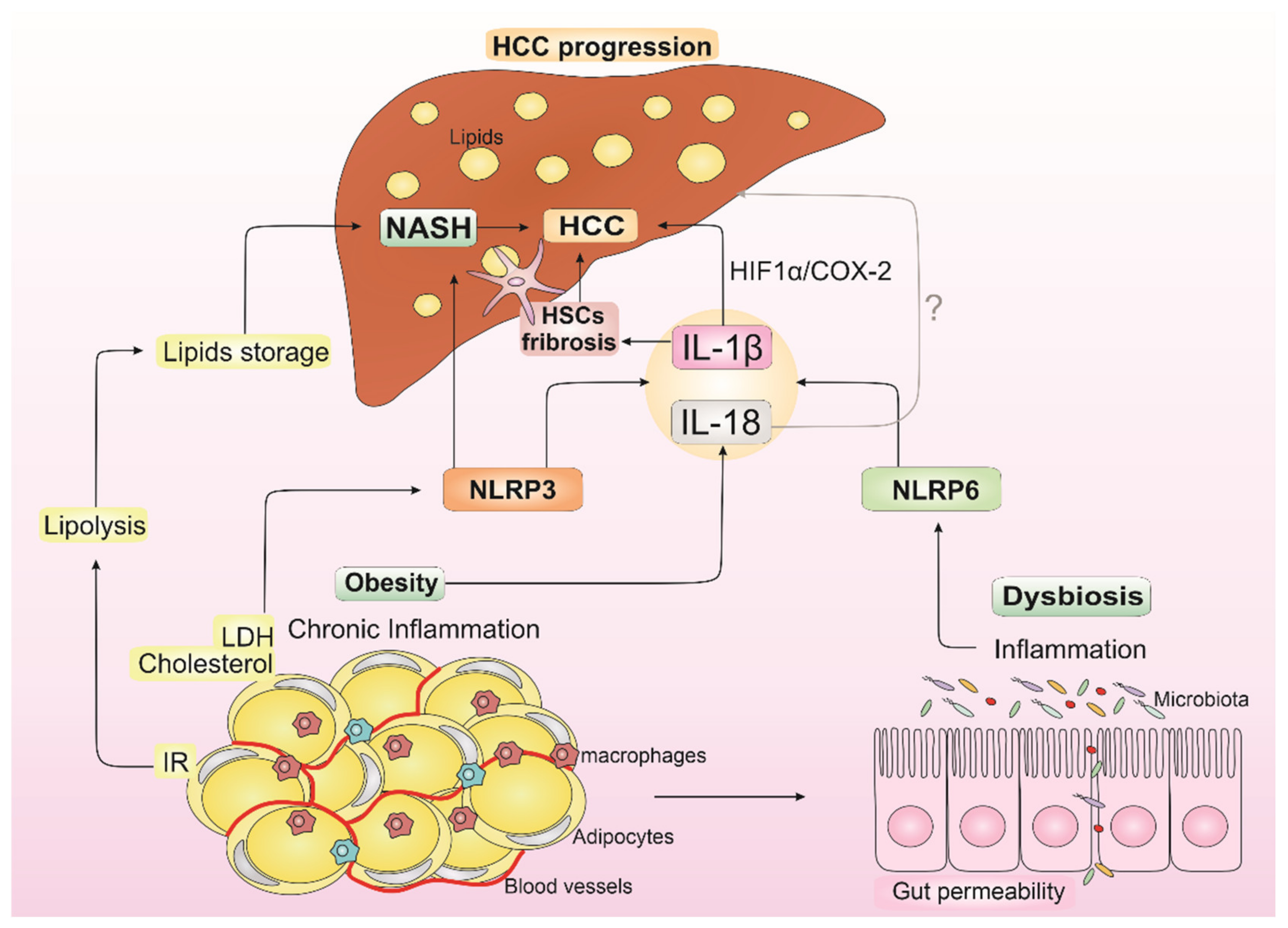 Biomedicines 10 02344 g002