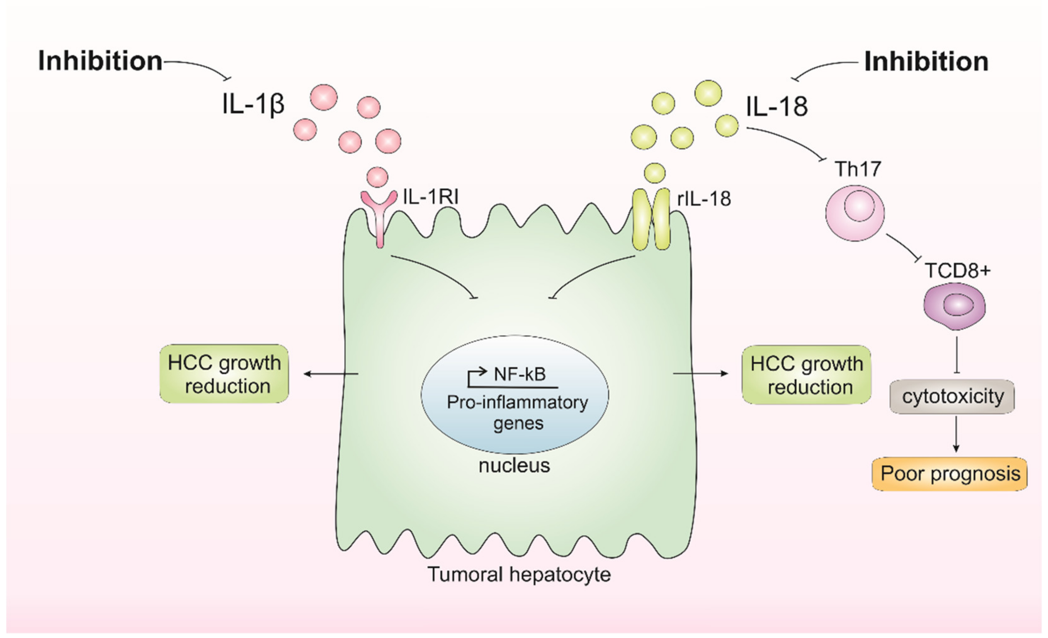 Biomedicines 10 02344 g003