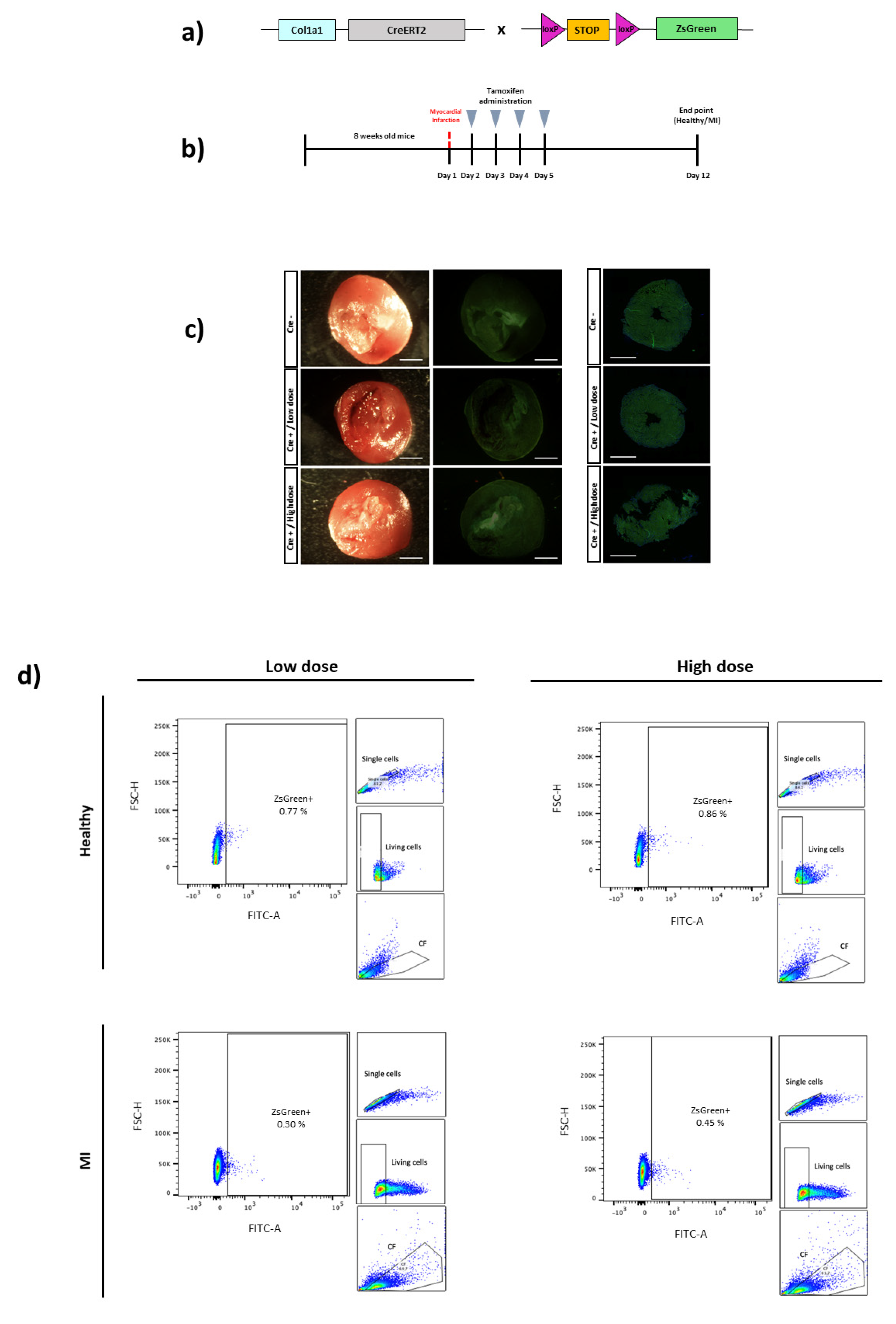 Biomedicines 10 02350 g003