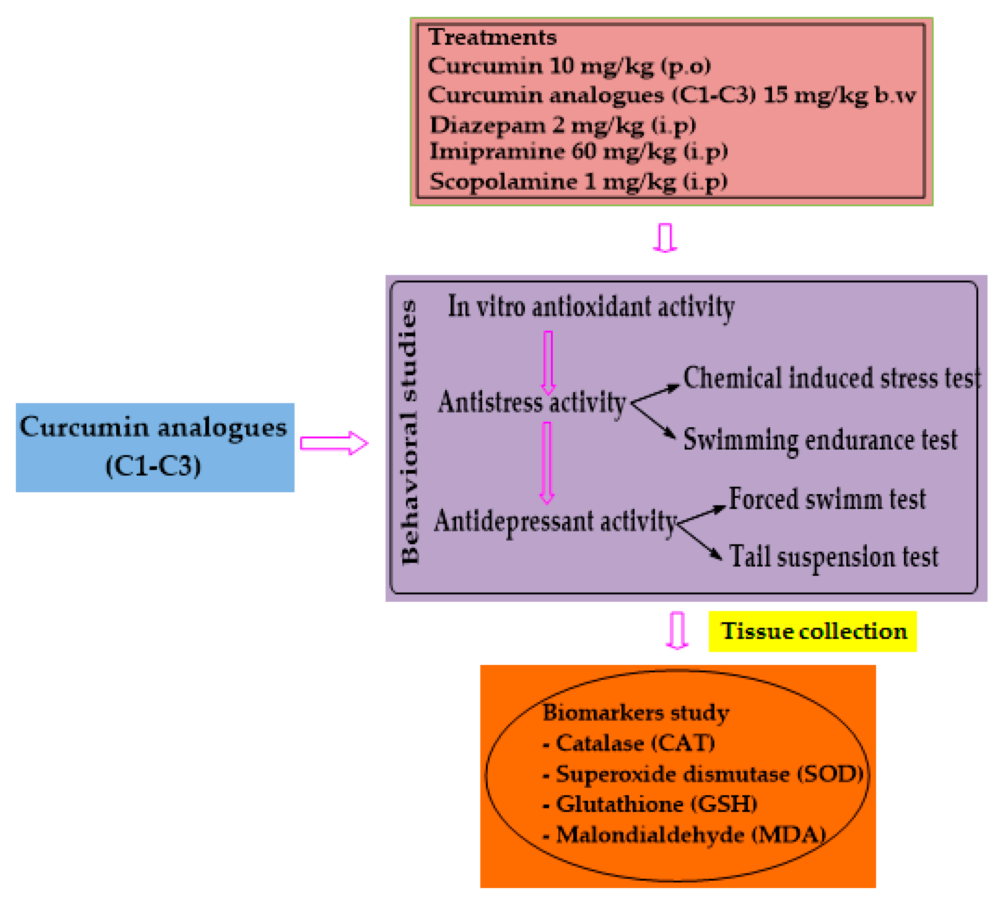 Biomedicines 10 02385 g002