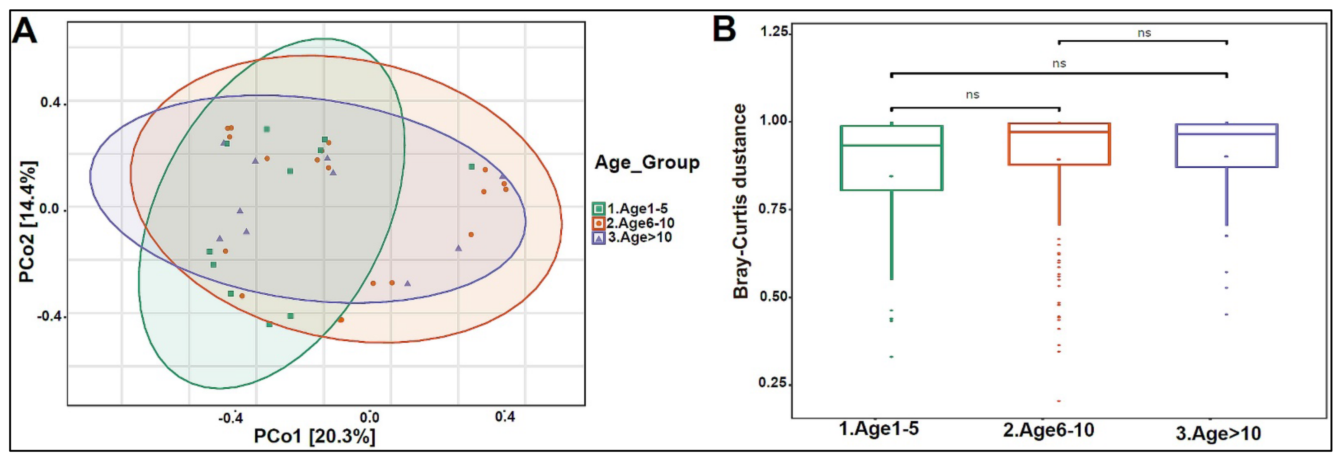 Biomedicines 10 02412 g005