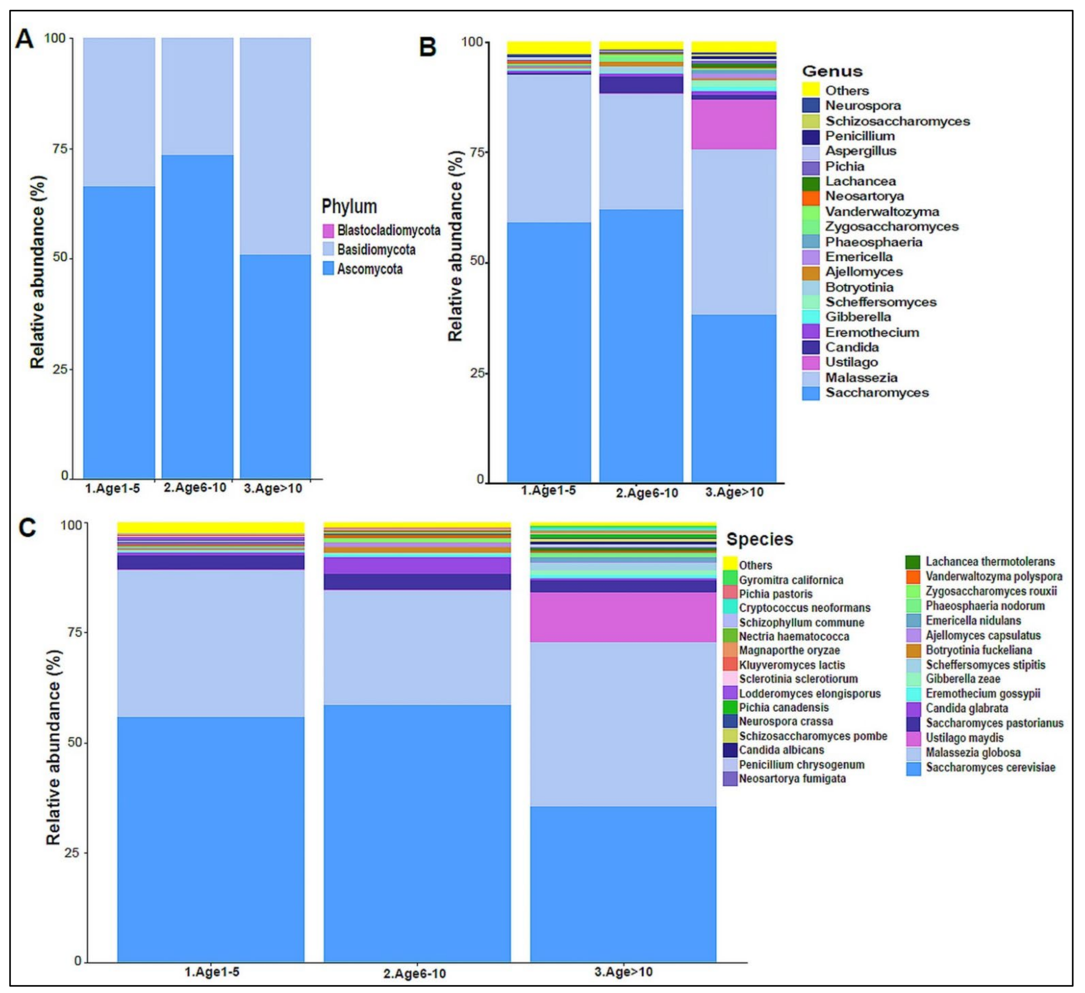 Biomedicines 10 02412 g007