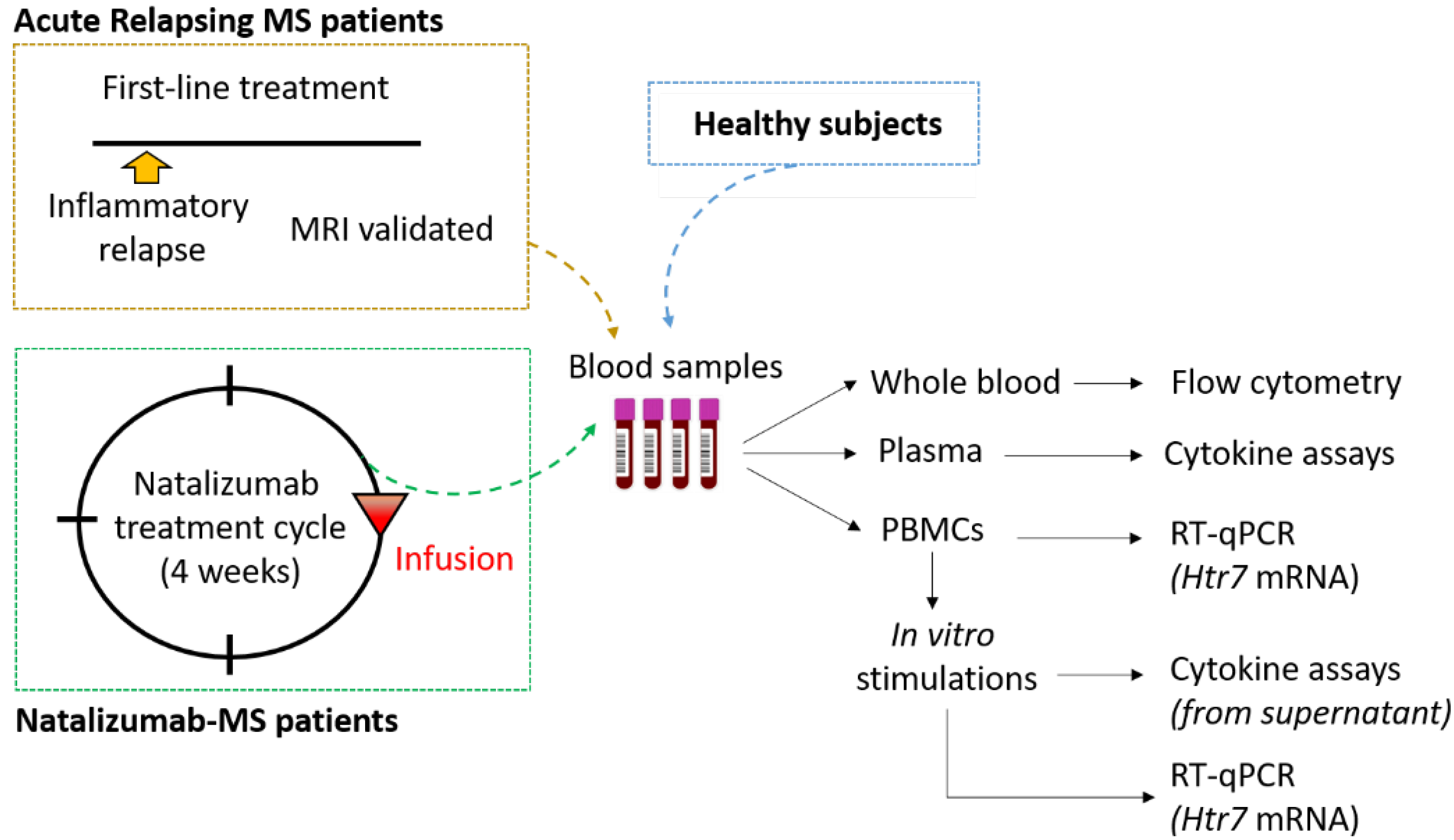 Biomedicines 10 02418 g001