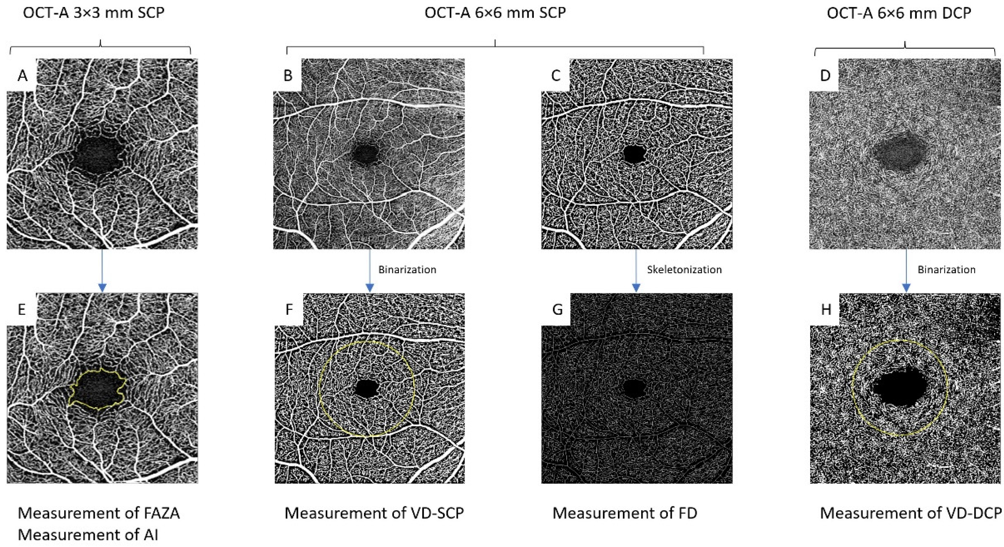 Biomedicines 10 02421 g001