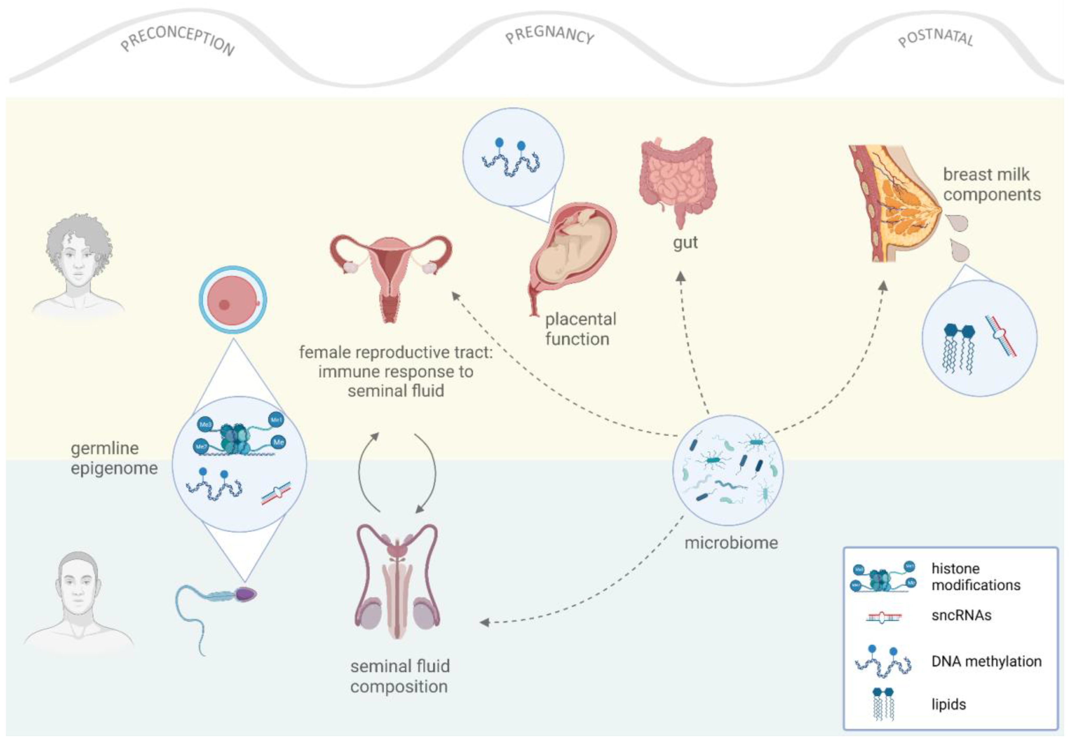 Biomedicines 10 02461 g001
