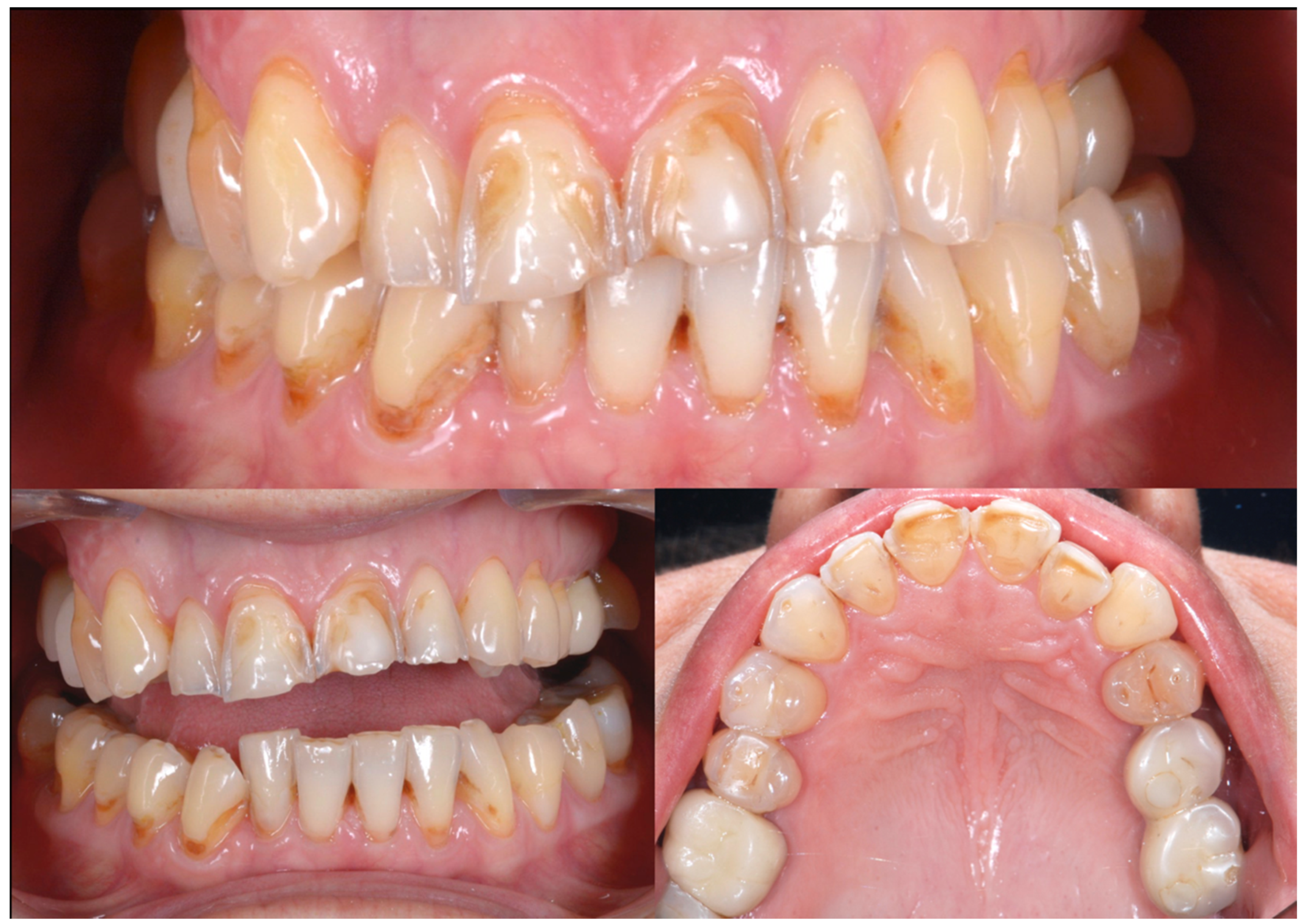 Biomedicines 10 02536 g001