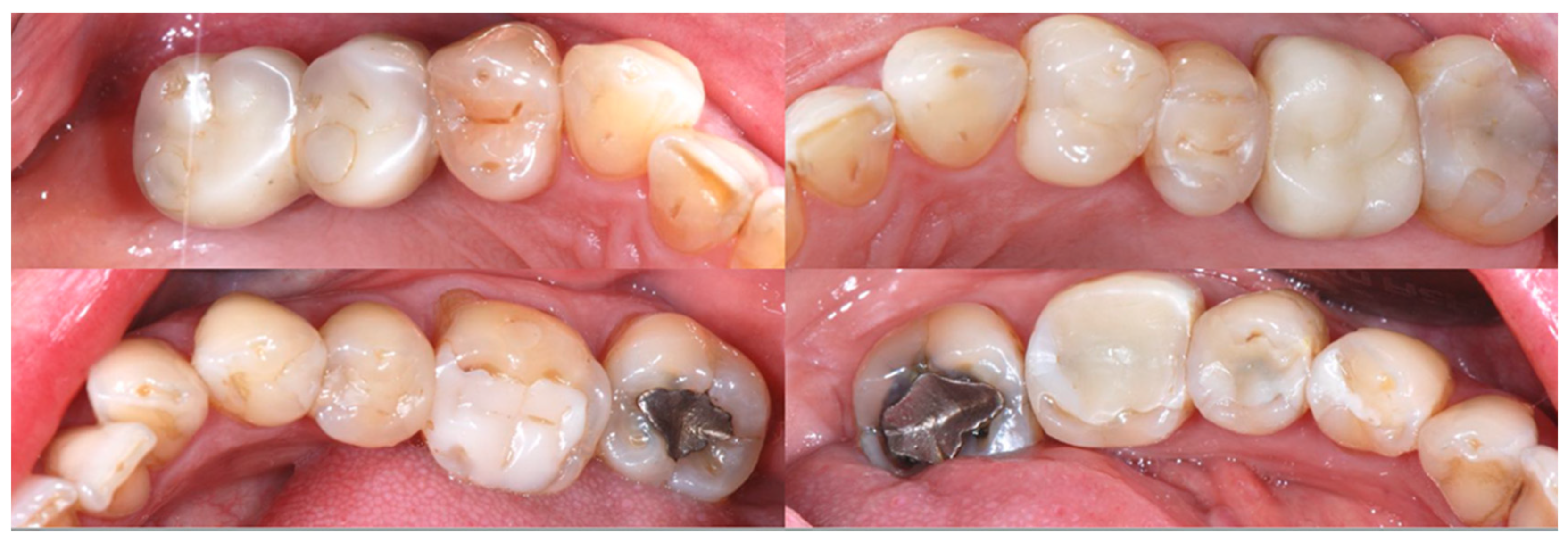 Biomedicines 10 02536 g002