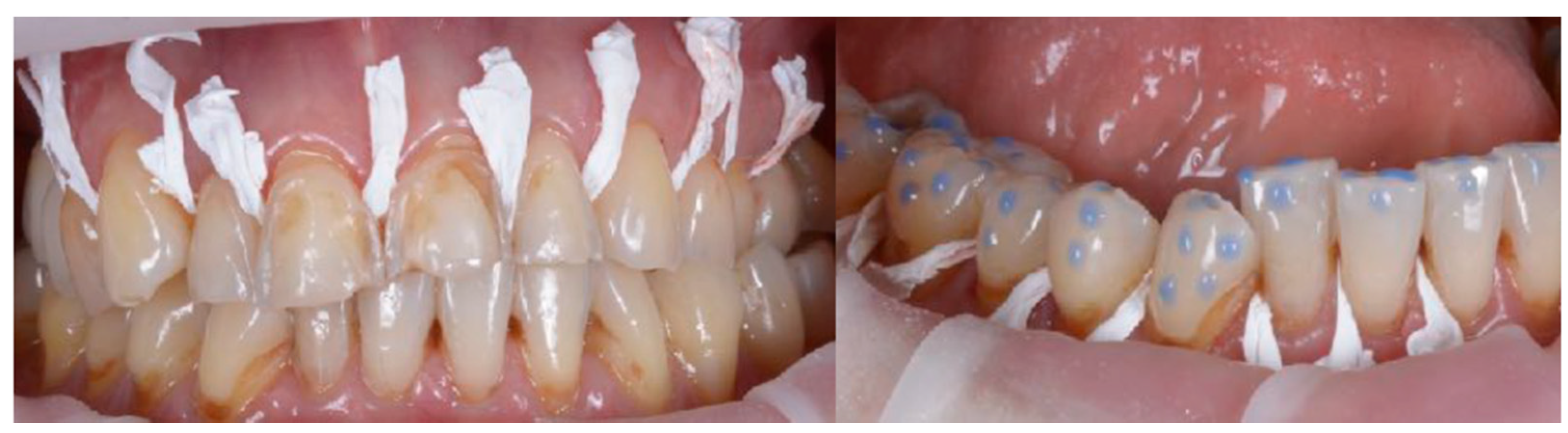 Biomedicines 10 02536 g006