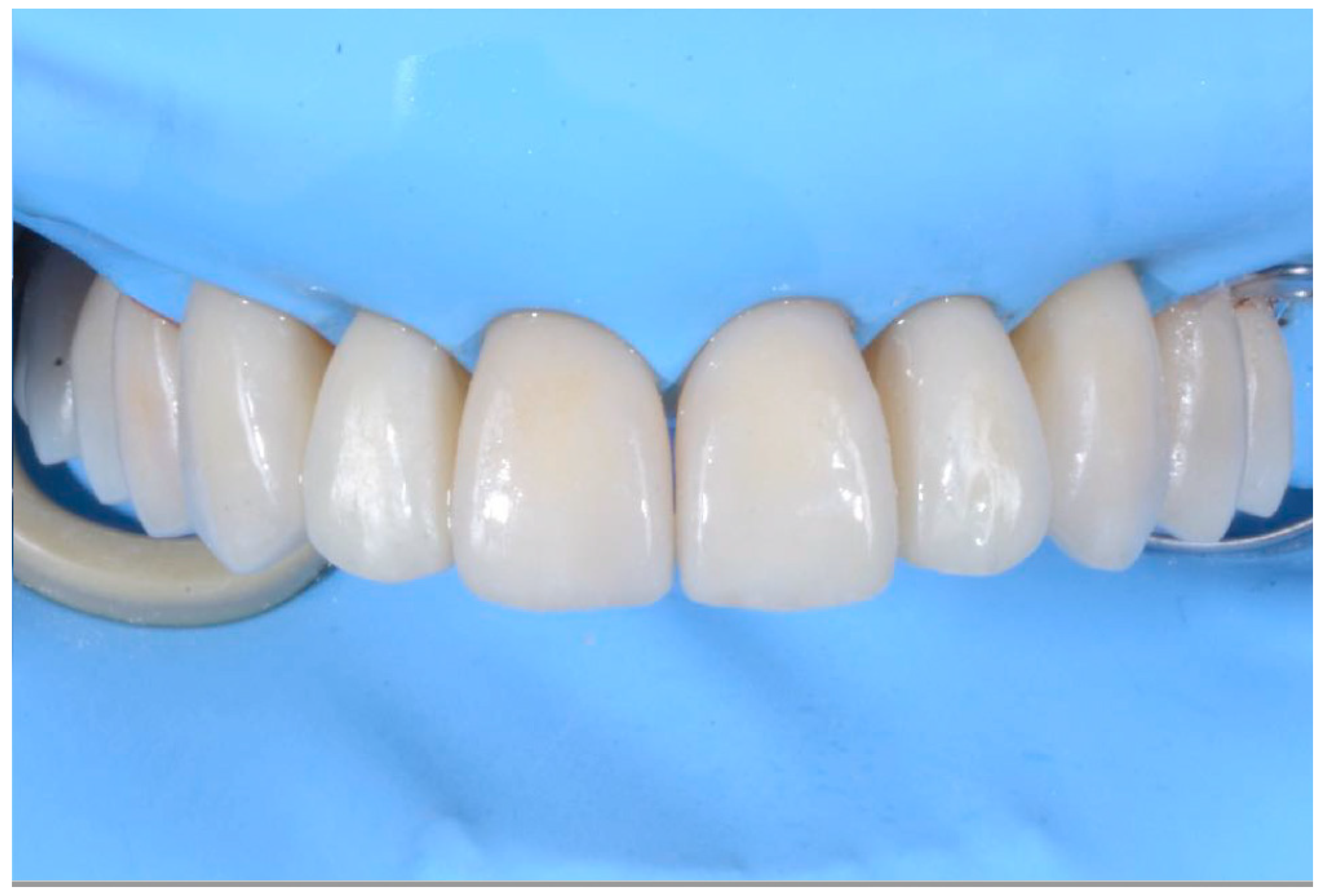 Biomedicines 10 02536 g010