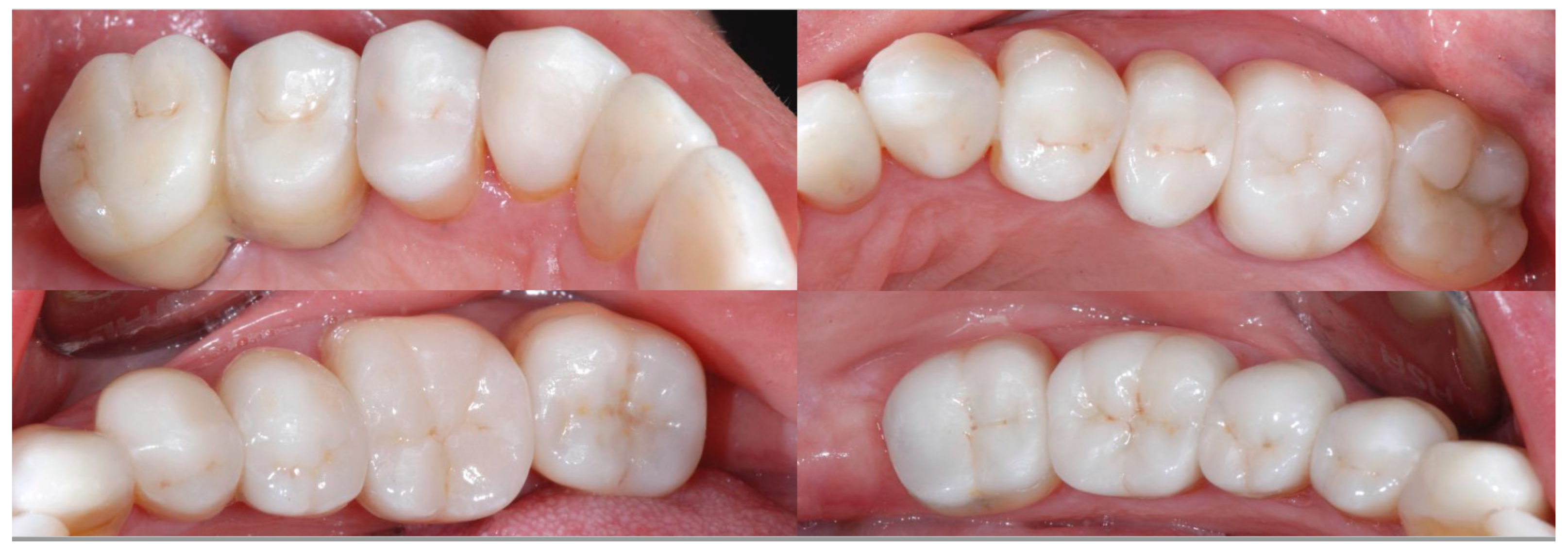 Biomedicines 10 02536 g013