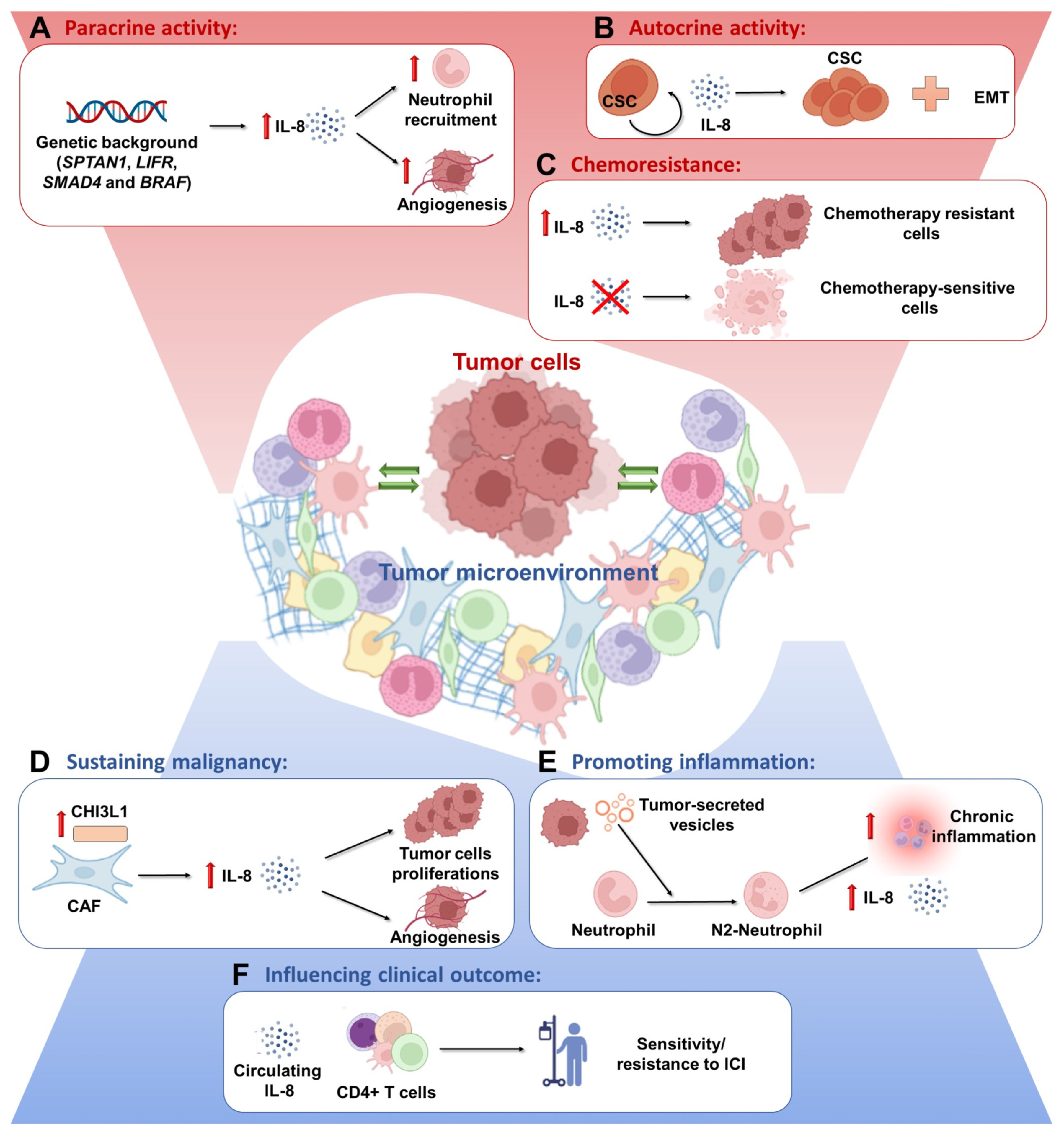 Biomedicines 10 02631 g001