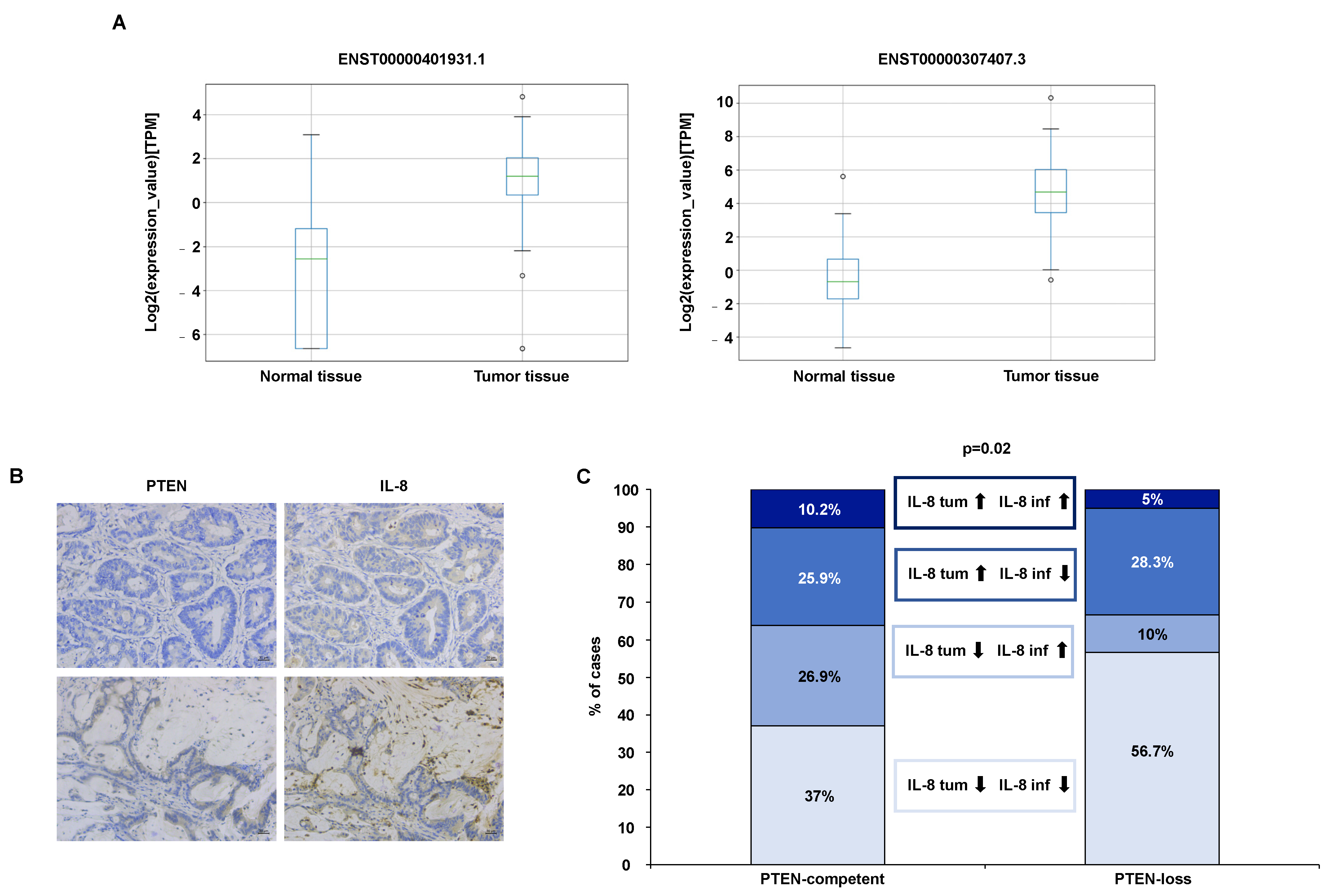 Biomedicines 10 02631 g002