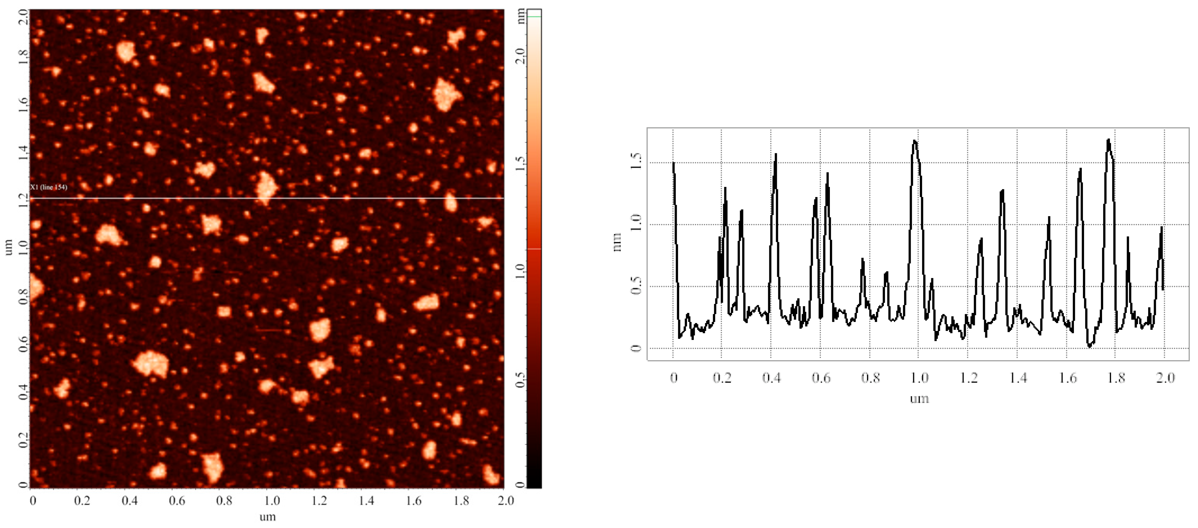 Biomedicines 10 02645 g002