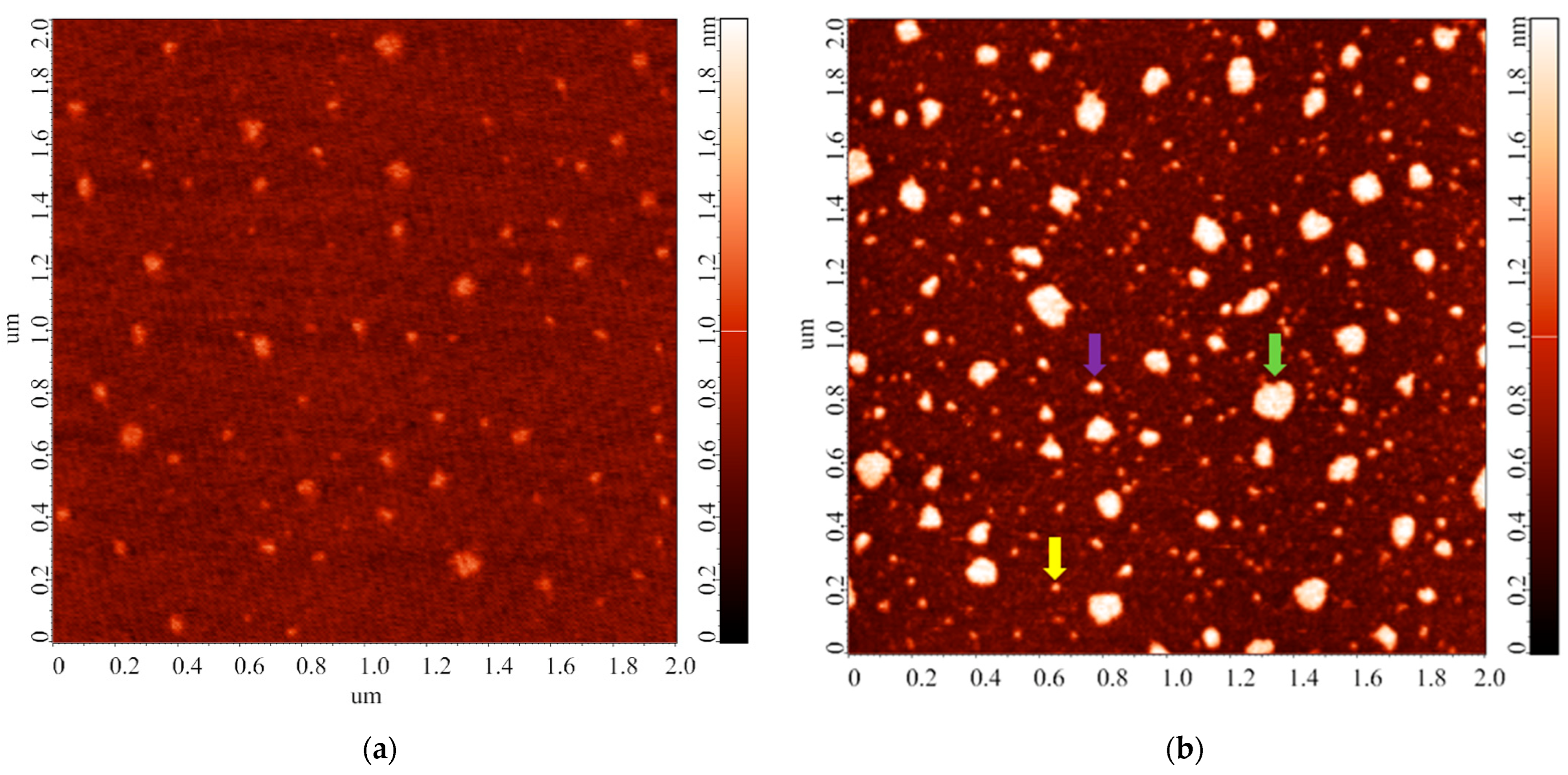 Biomedicines 10 02645 g004a