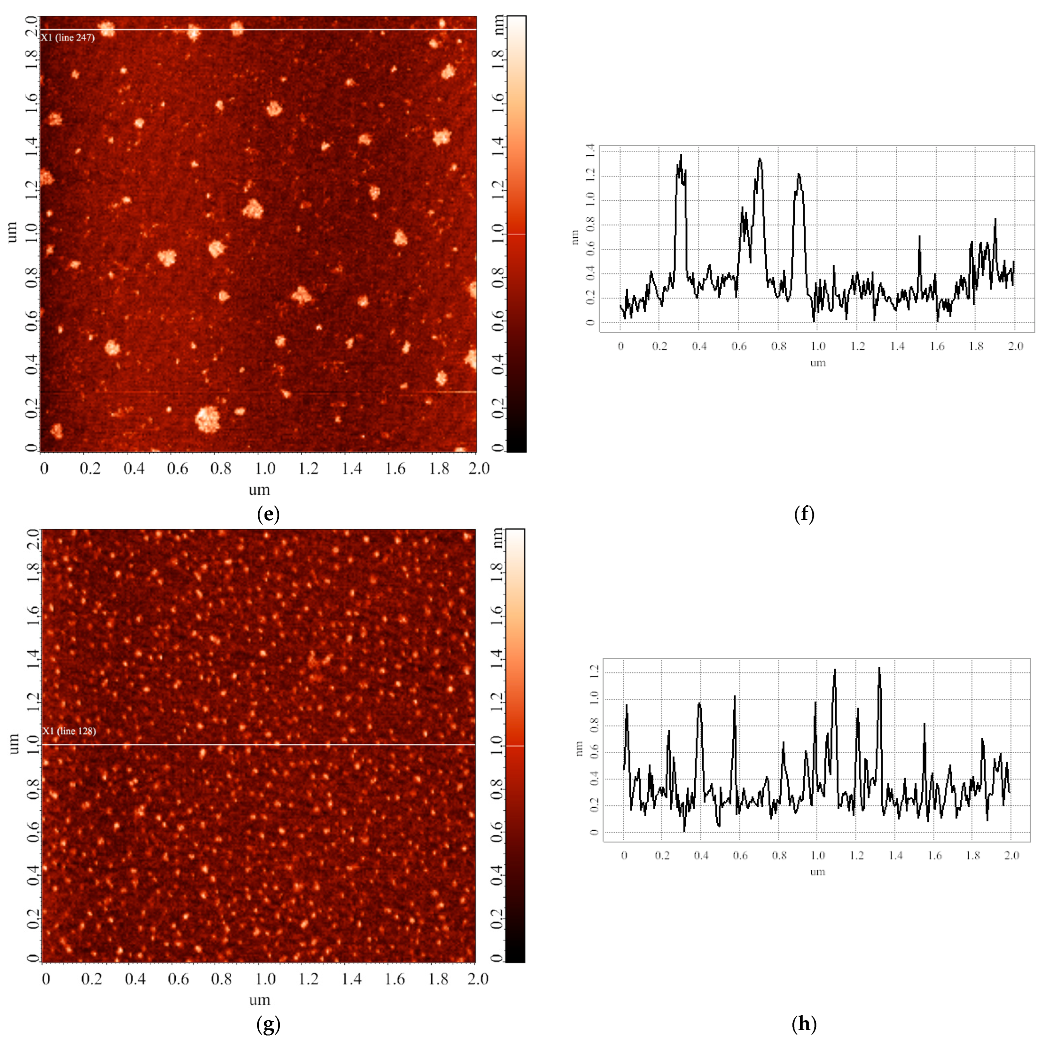 Biomedicines 10 02645 g006b