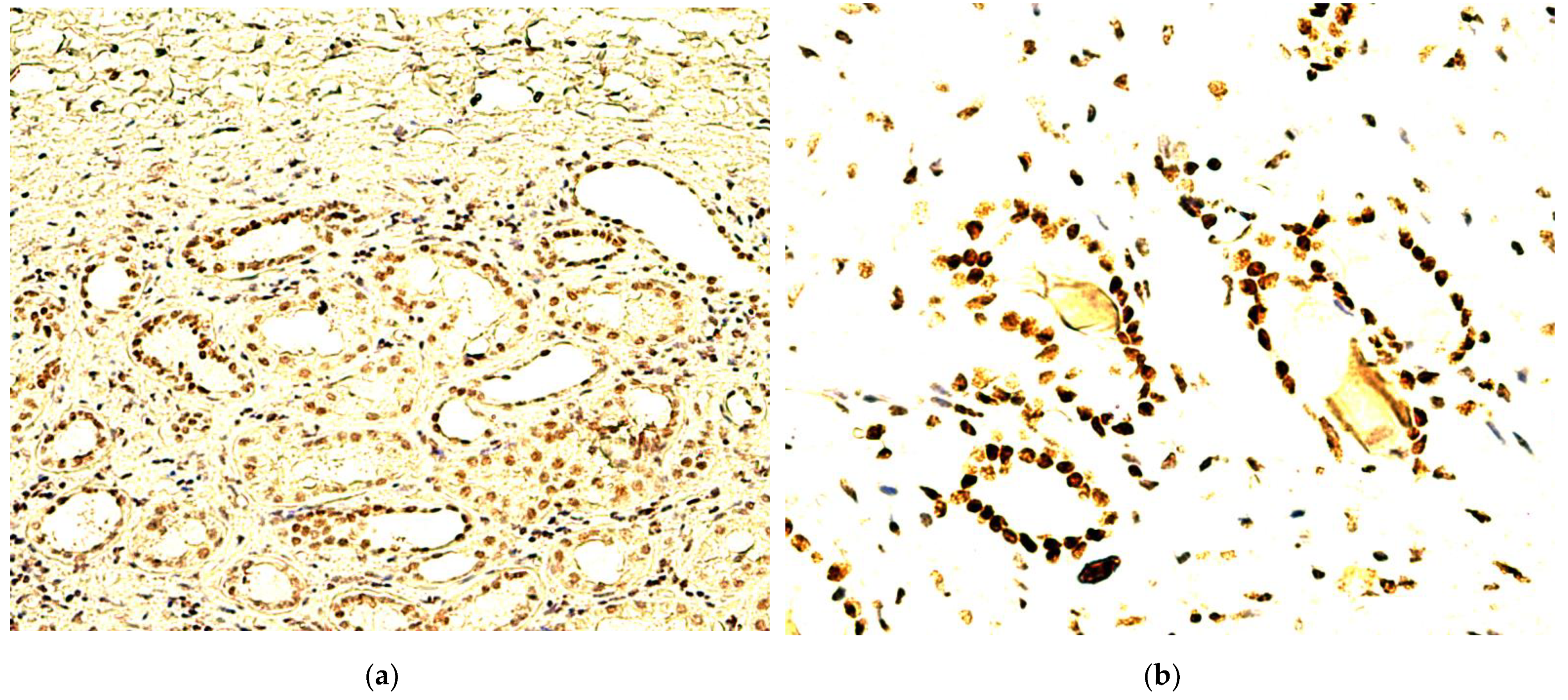 Biomedicines 10 02673 g003 Biomedicines 10 02673 g003