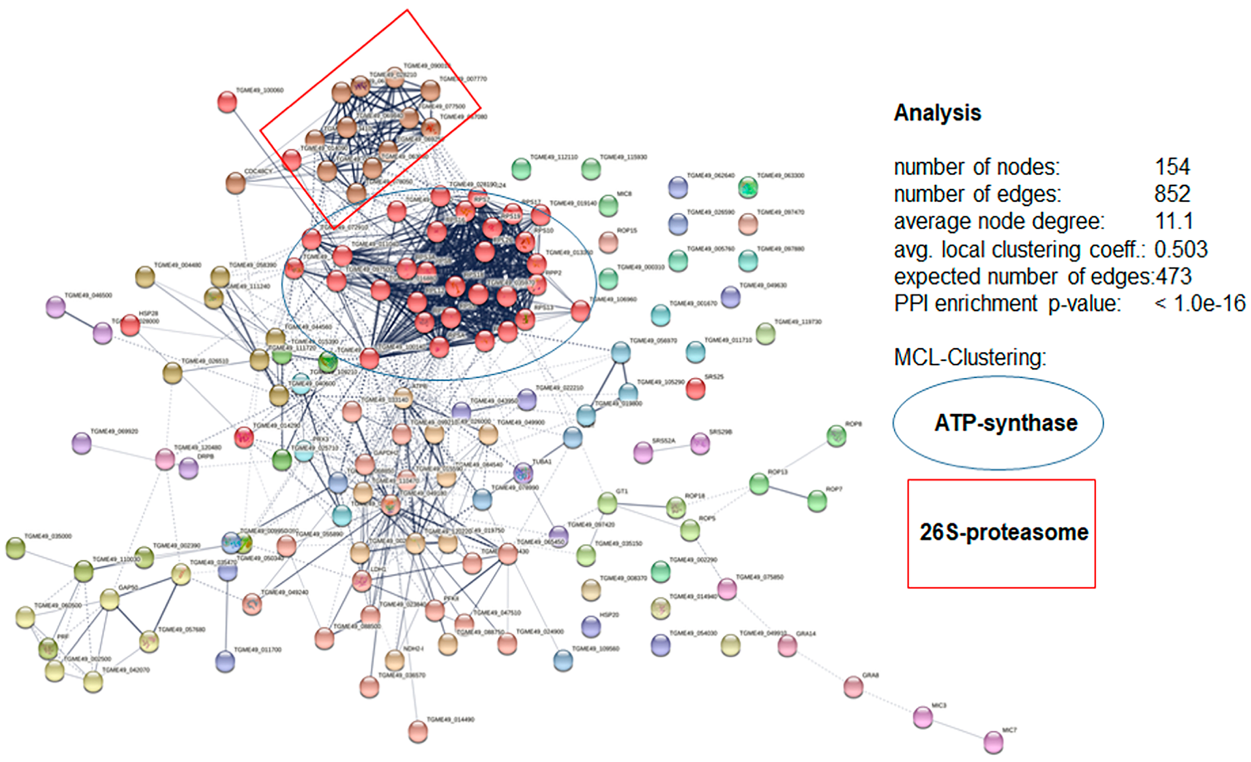 Biomedicines 10 02675 g009