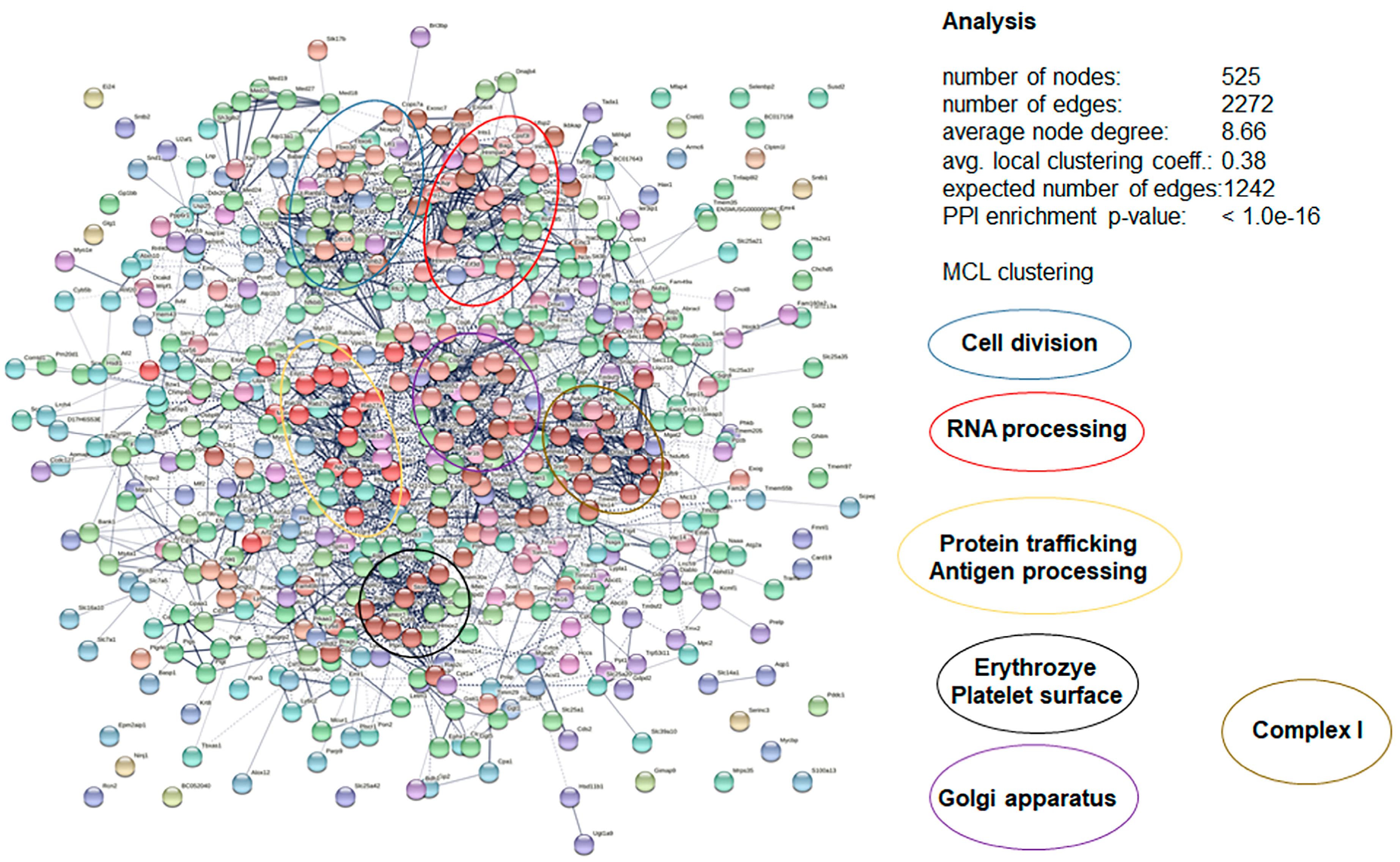 Biomedicines 10 02675 g010