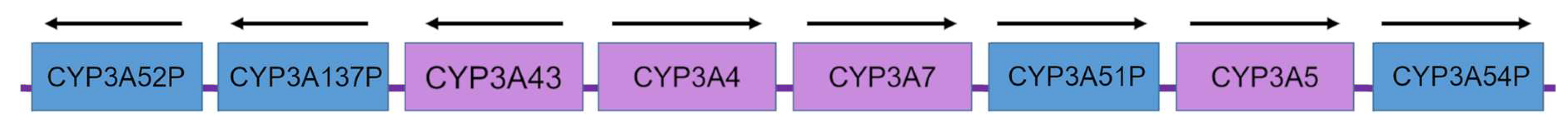 Biomedicines 10 02686 g001