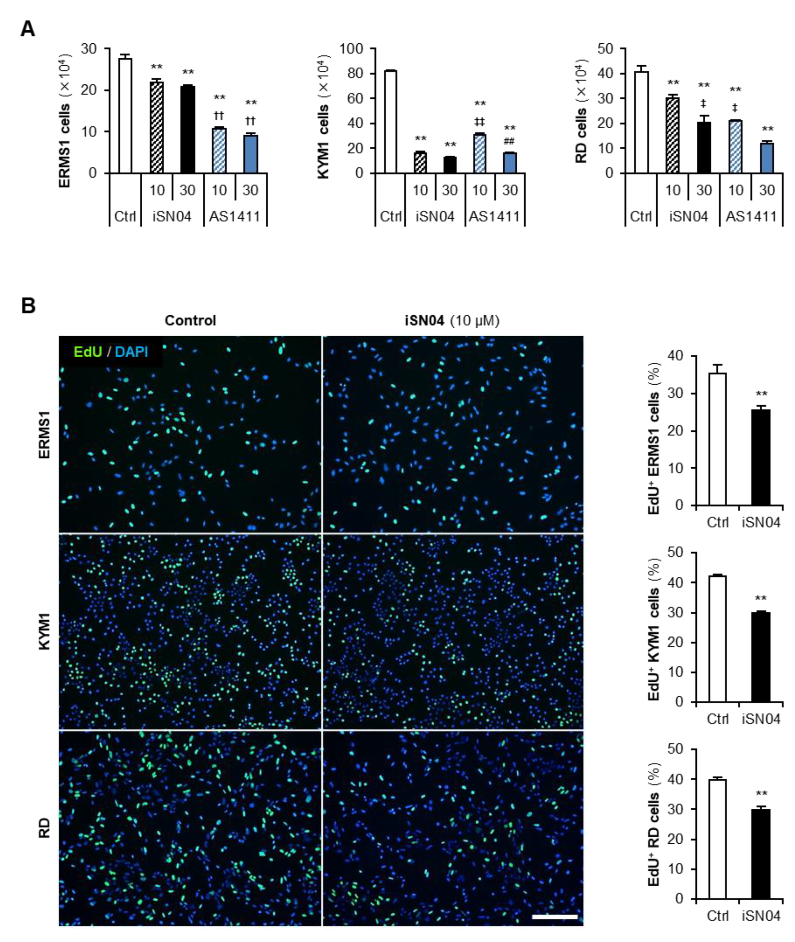 Biomedicines 10 02691 g002