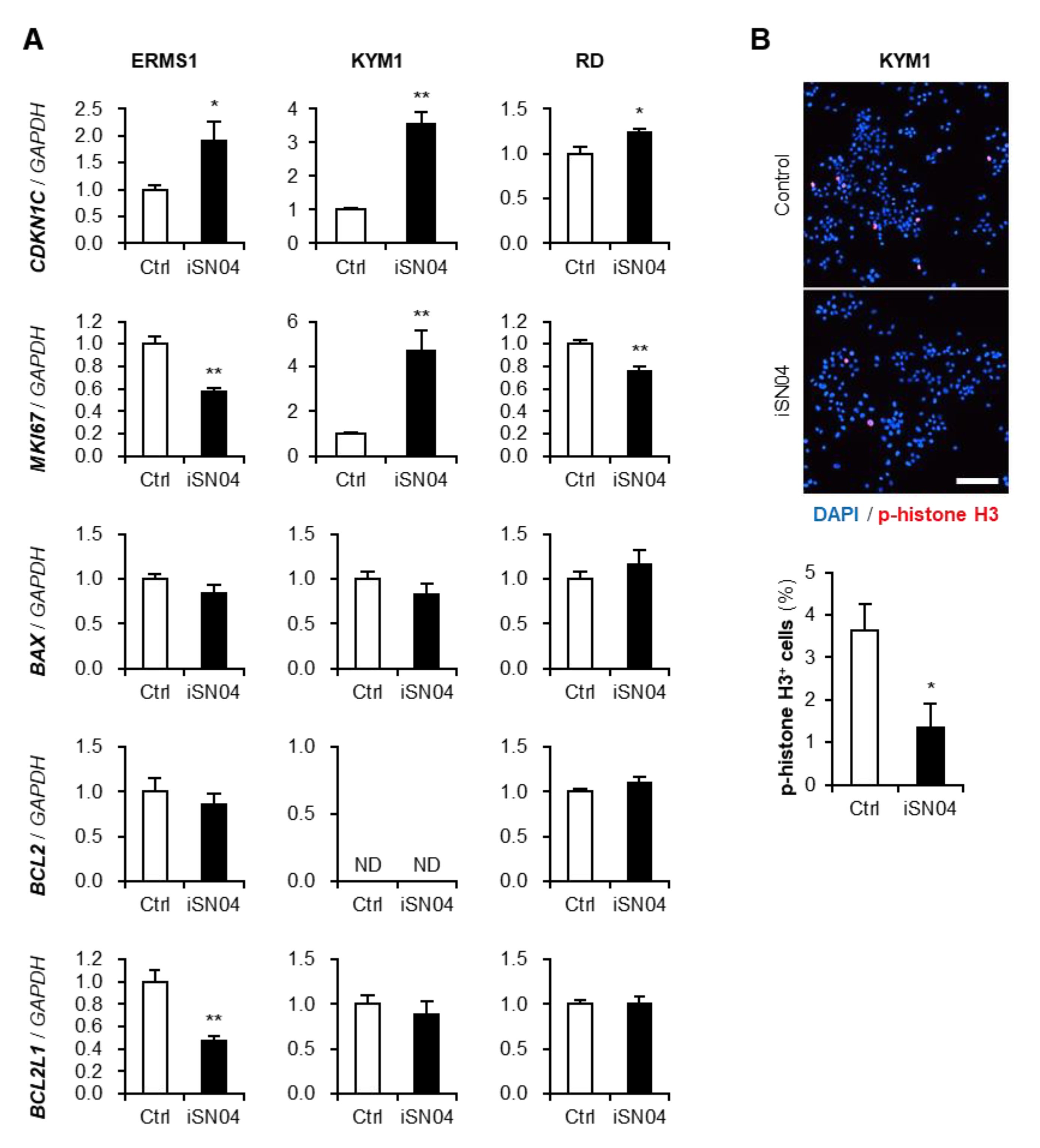 Biomedicines 10 02691 g003
