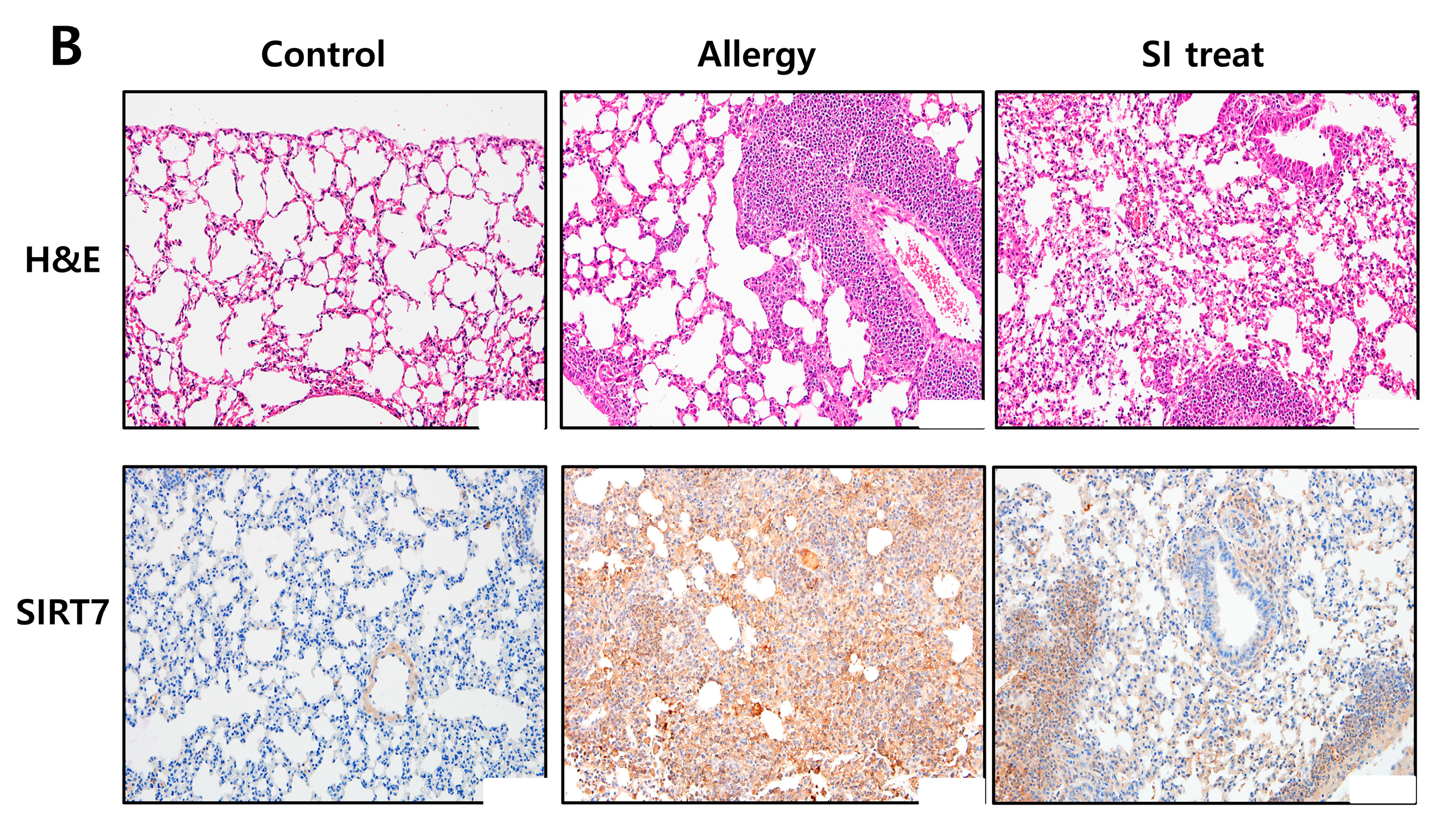 Biomedicines 10 02693 g002b