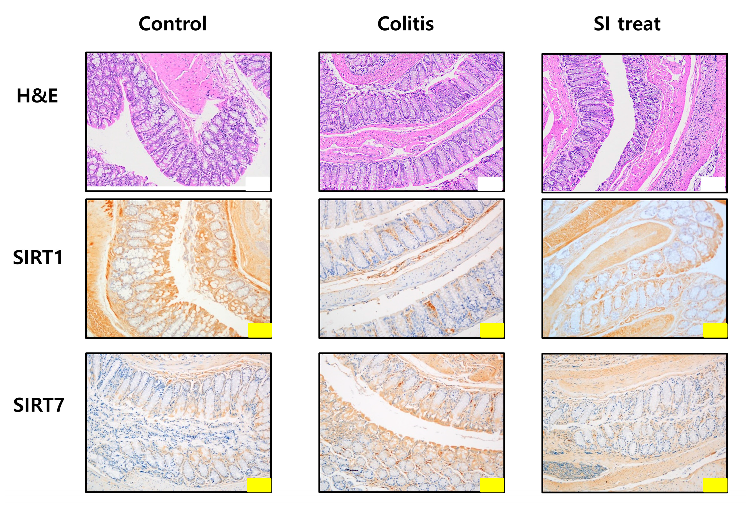 Biomedicines 10 02693 g003