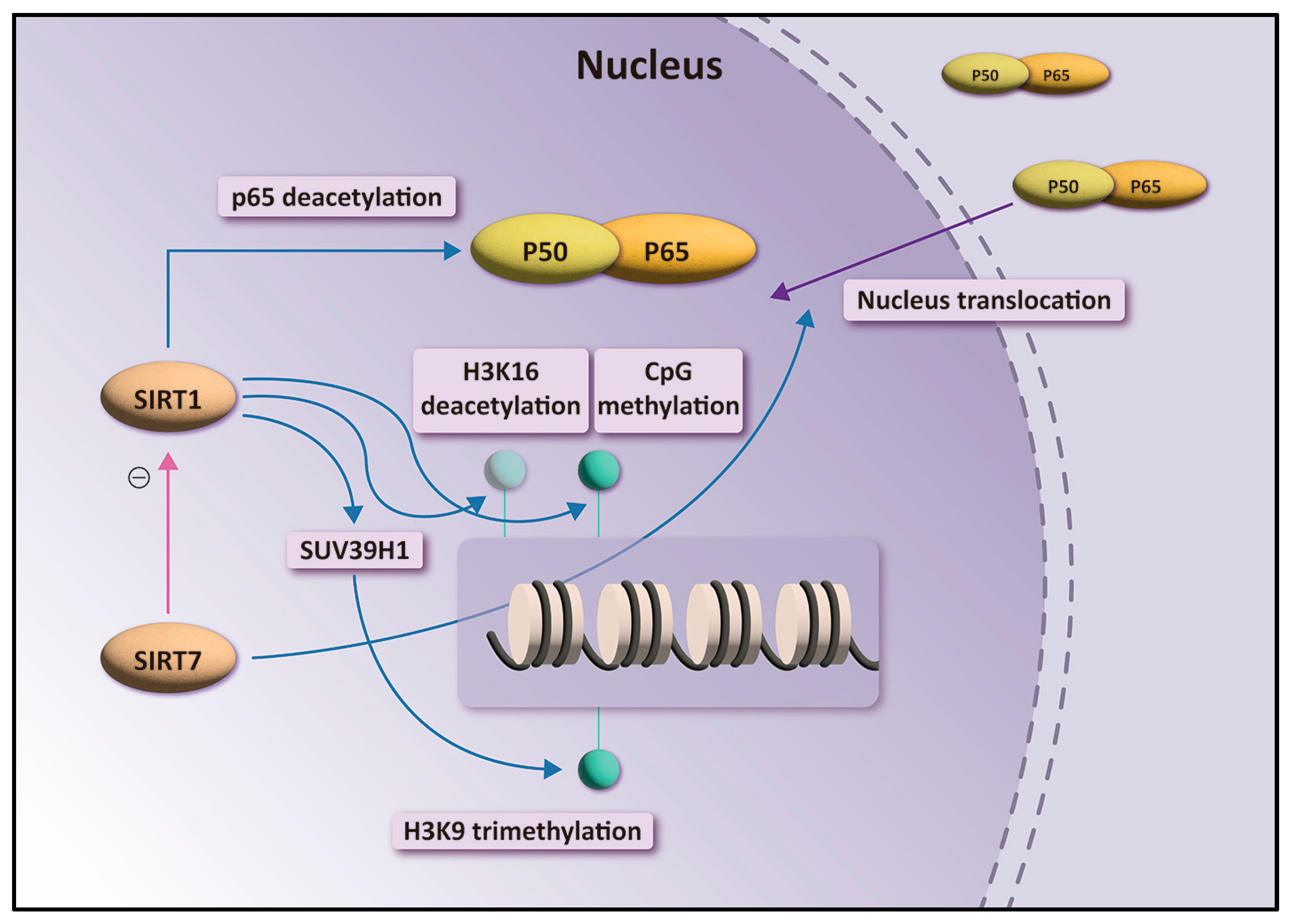 Biomedicines 10 02693 g005