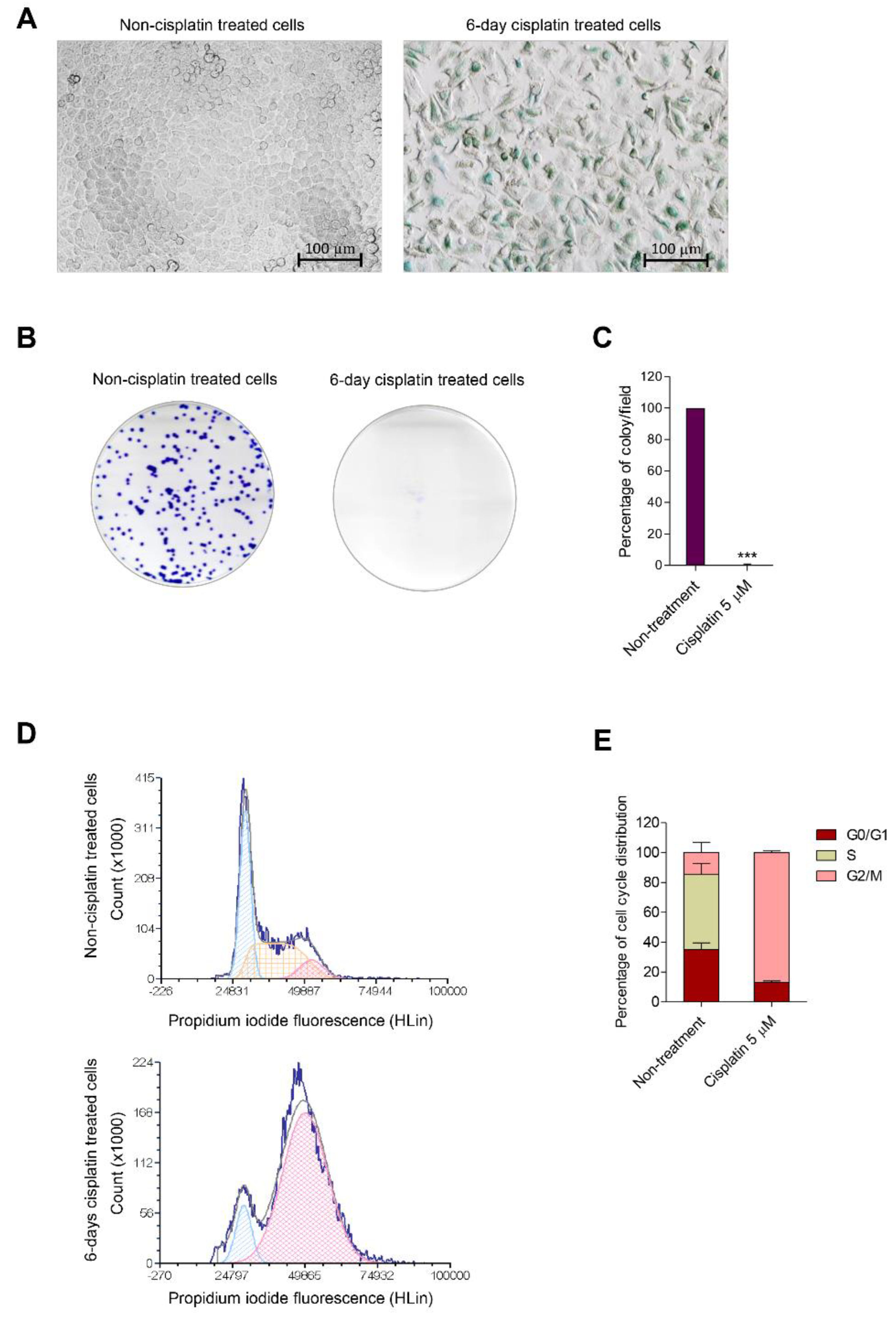 Biomedicines 10 02703 g001 Biomedicines 10 02703 g001