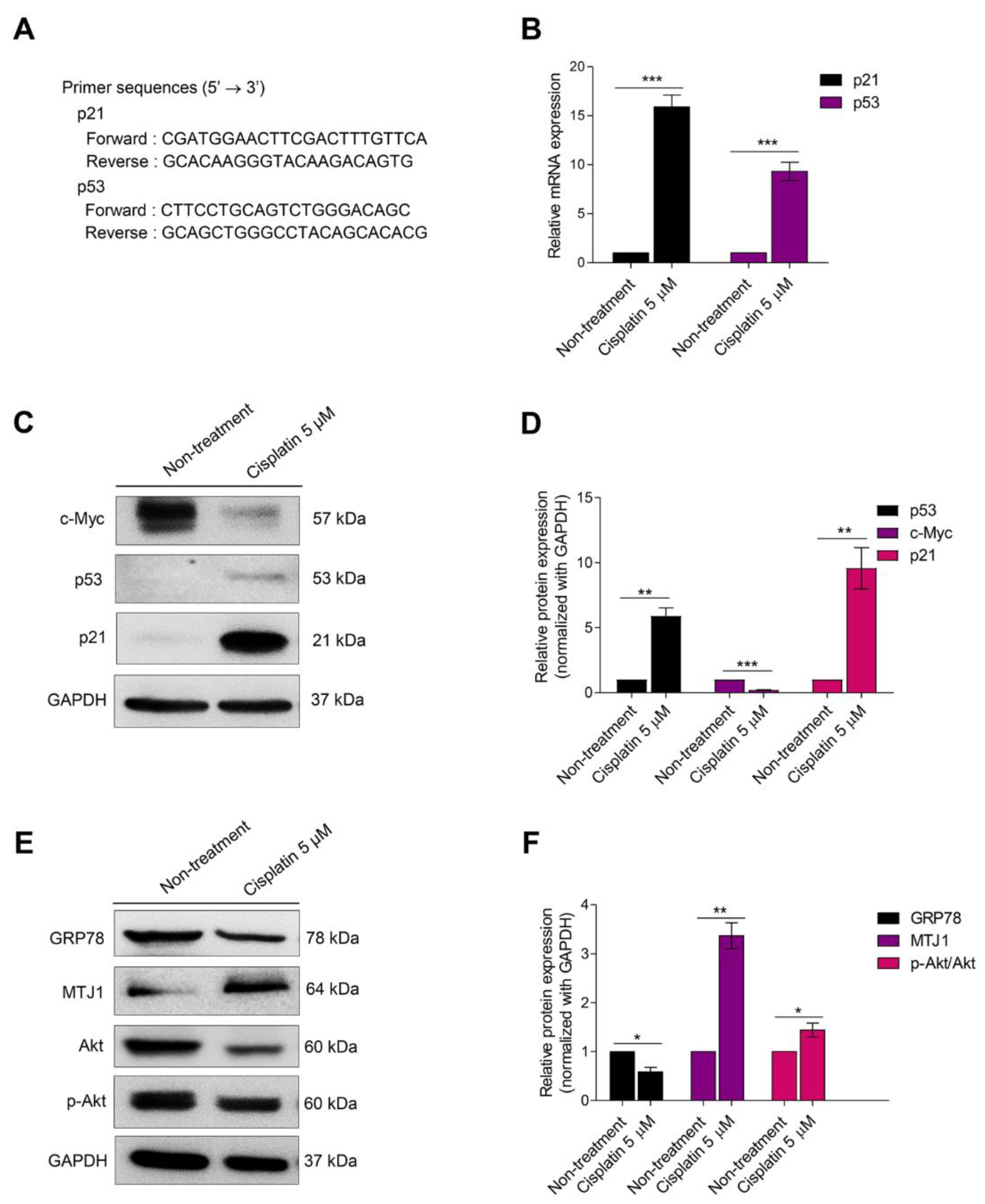 Biomedicines 10 02703 g002 Biomedicines 10 02703 g002