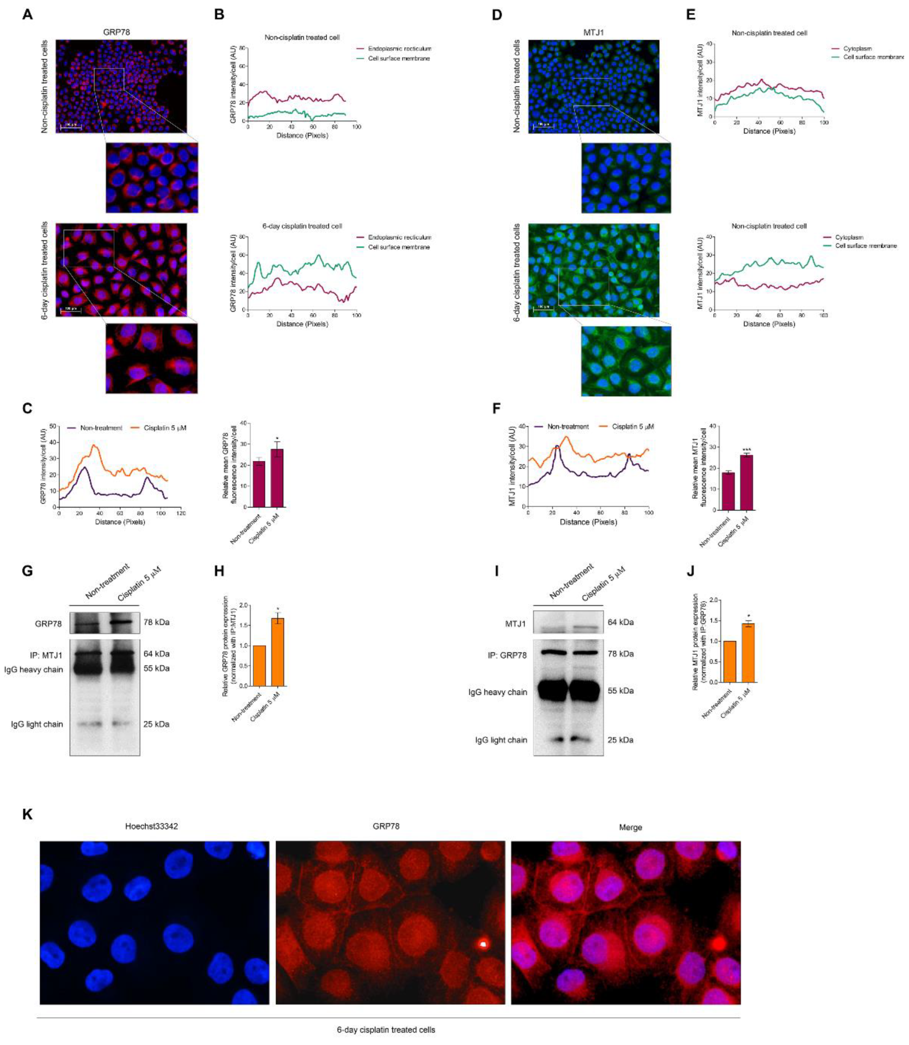 Biomedicines 10 02703 g003 Biomedicines 10 02703 g003