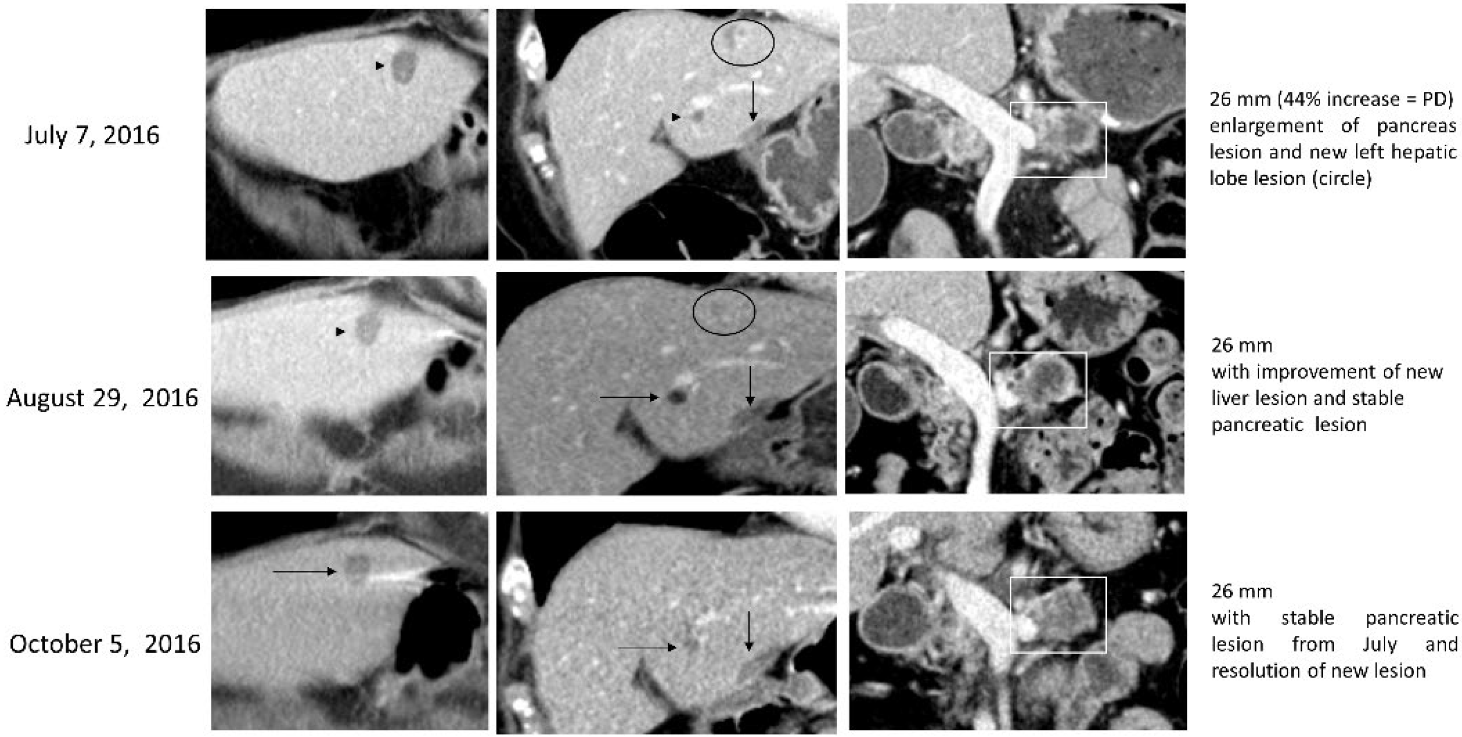 Biomedicines 10 02705 g002