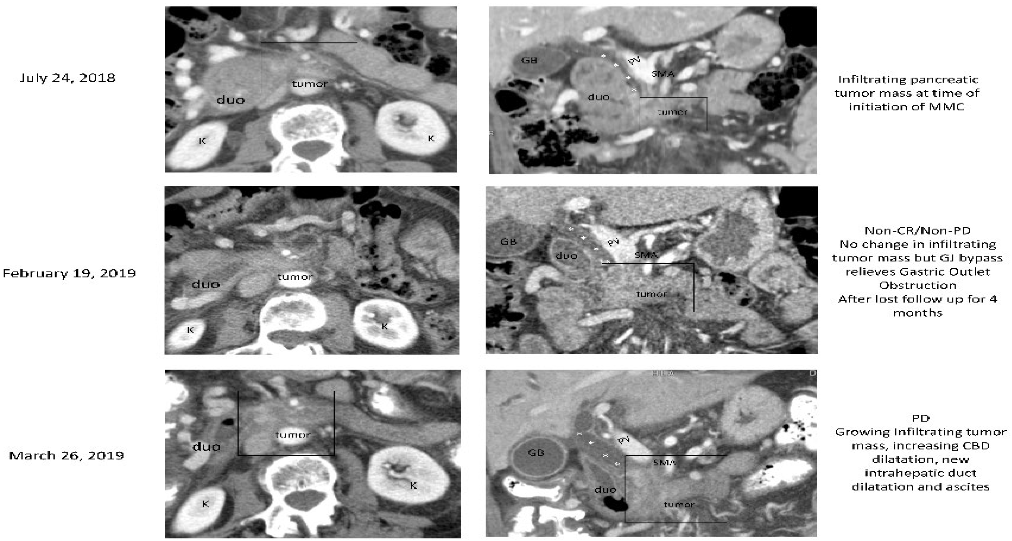 Biomedicines 10 02705 g003