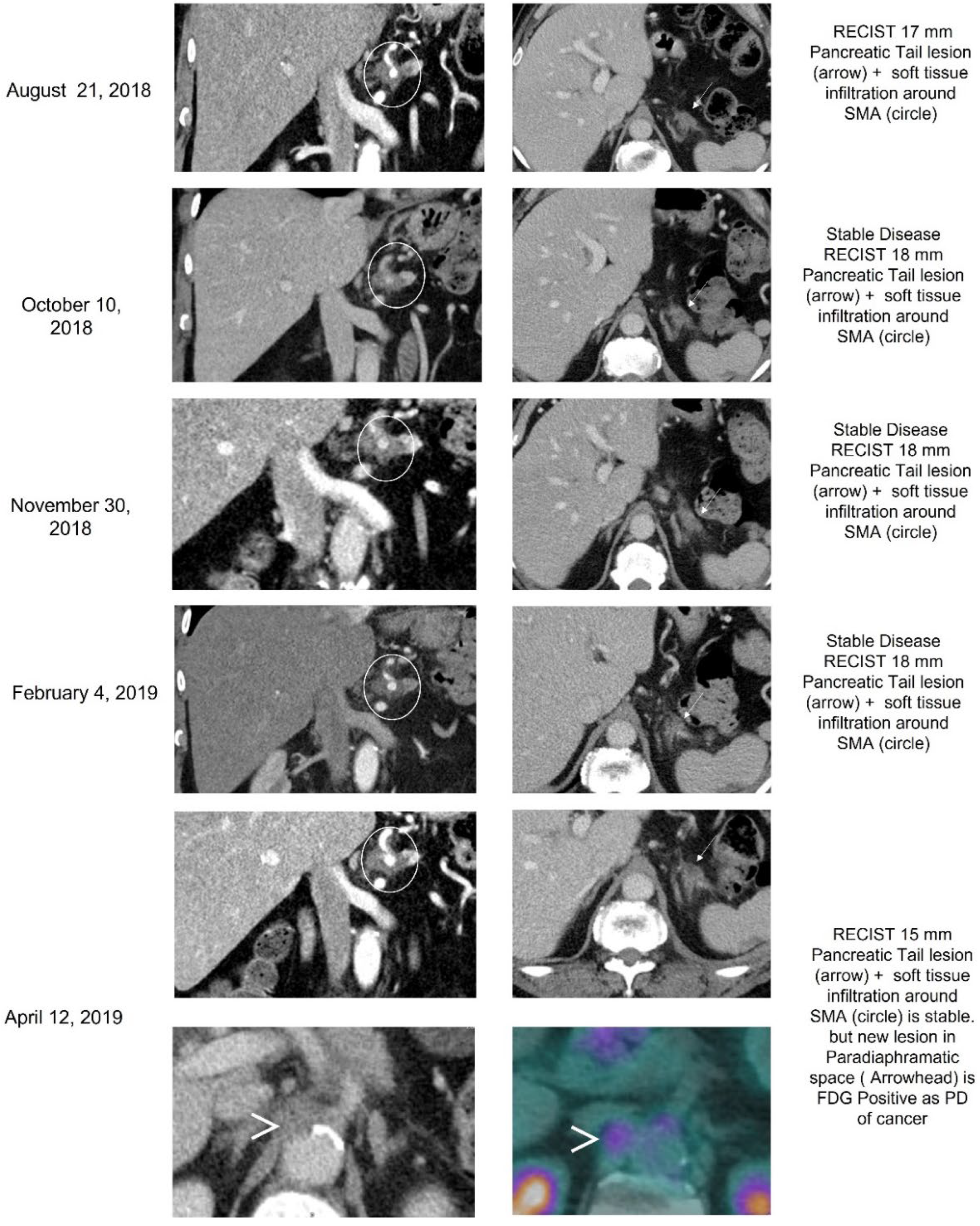 Biomedicines 10 02705 g004