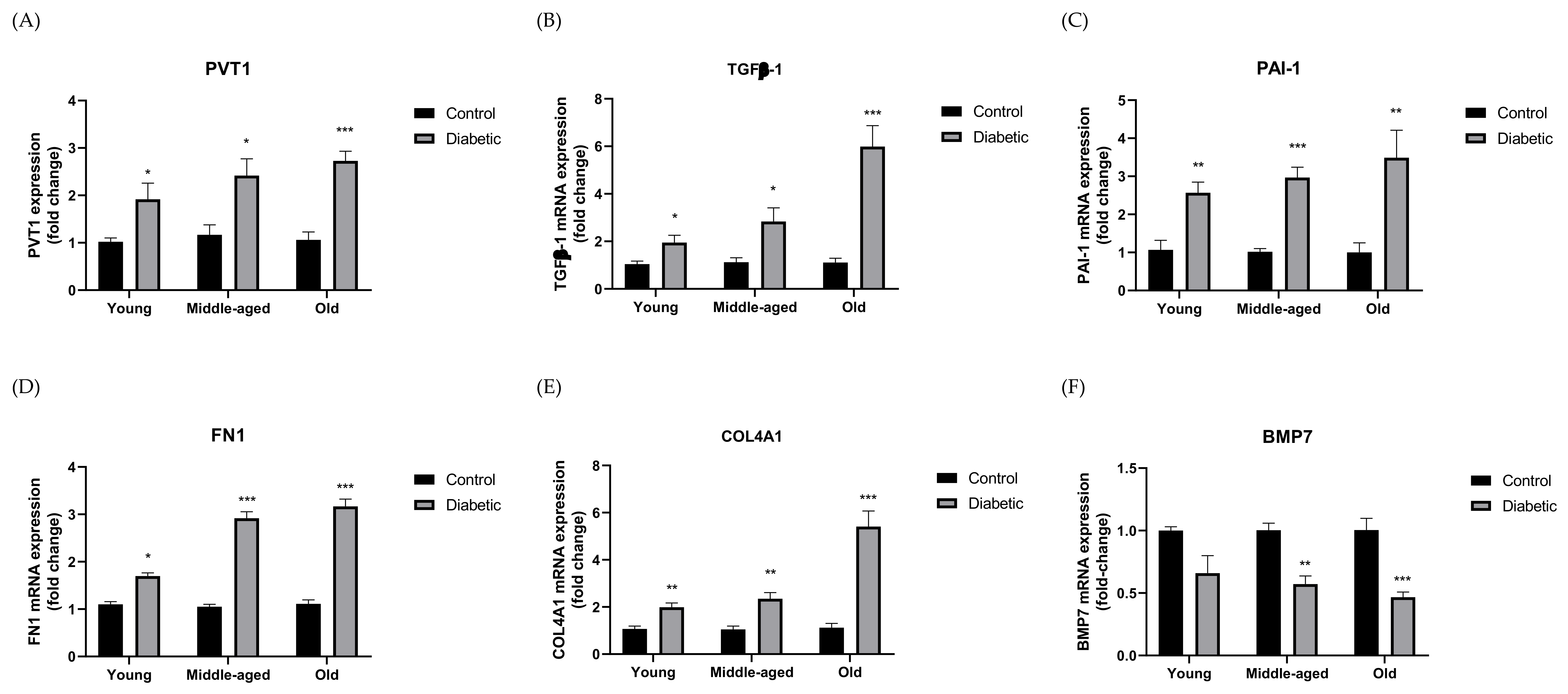 Biomedicines 10 02711 g001