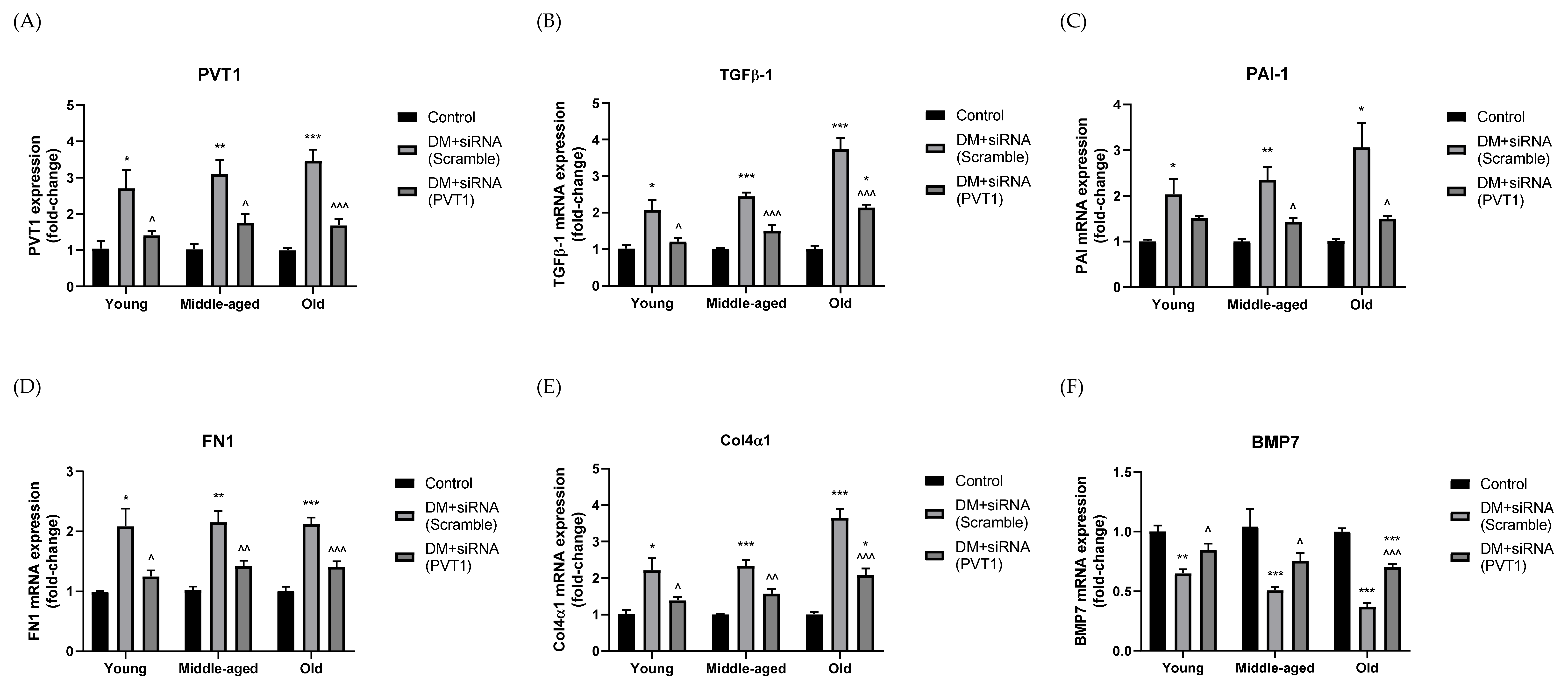 Biomedicines 10 02711 g003