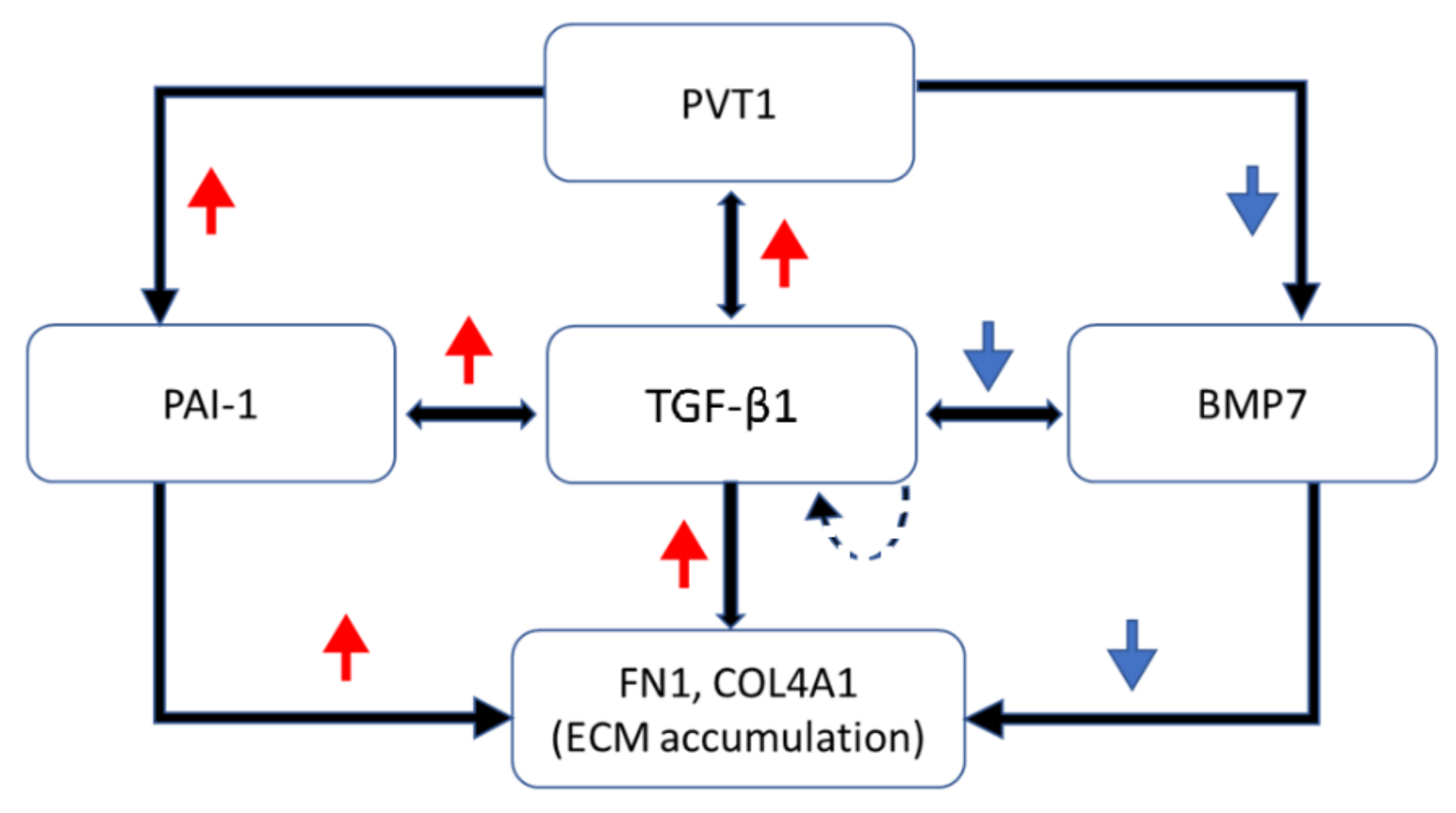 Biomedicines 10 02711 g004