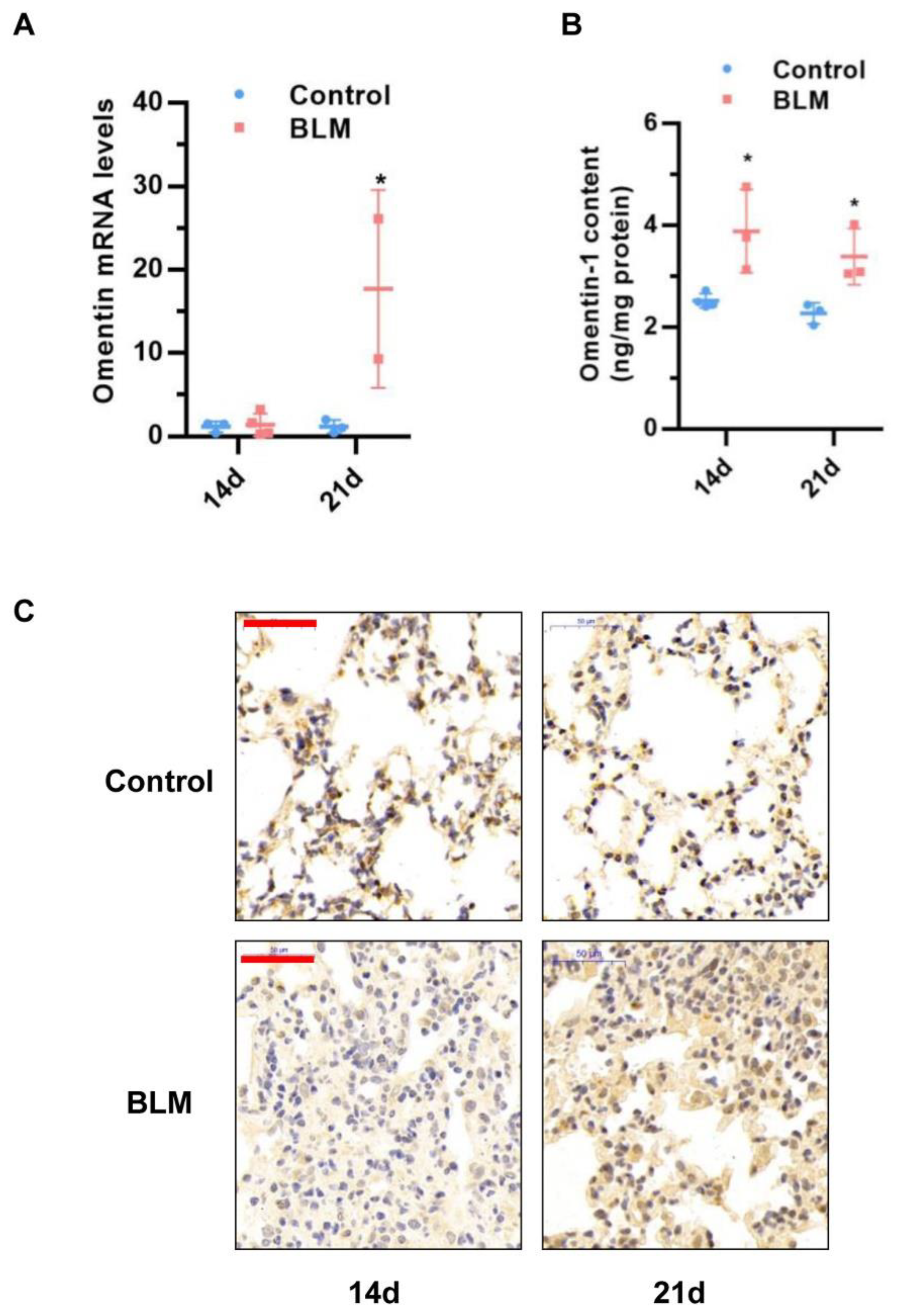 Biomedicines 10 02715 g001