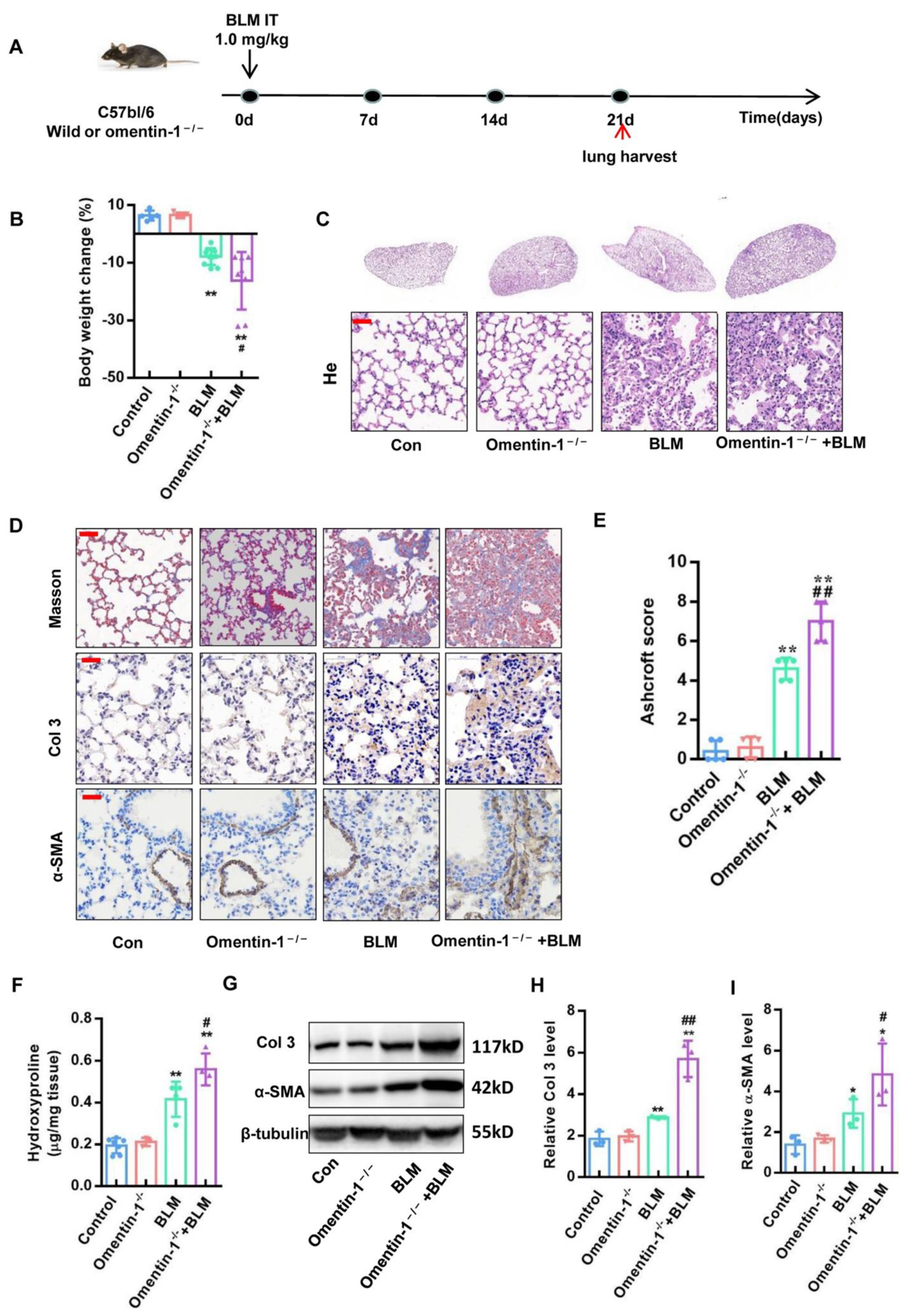 Biomedicines 10 02715 g002