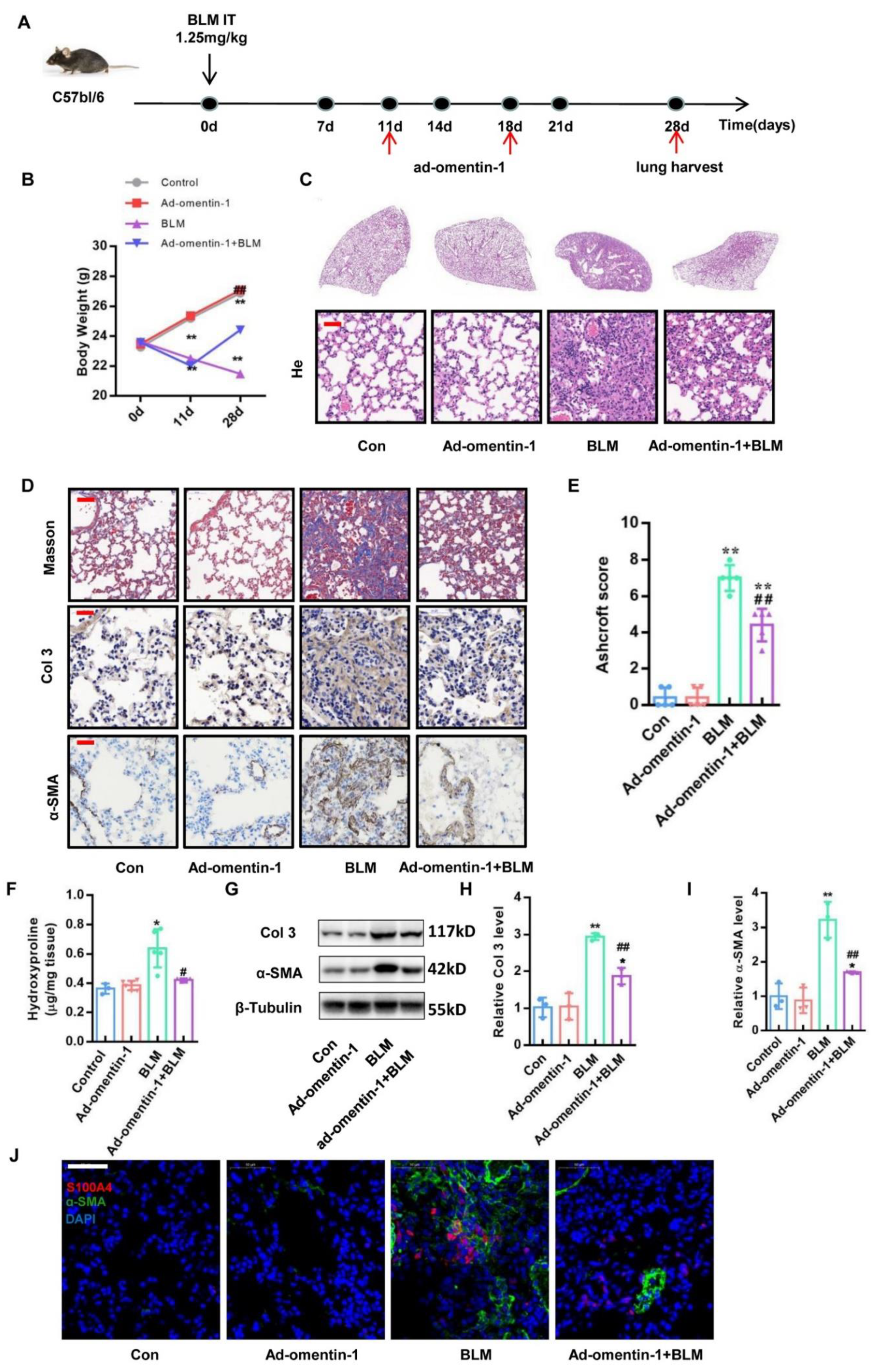 Biomedicines 10 02715 g004