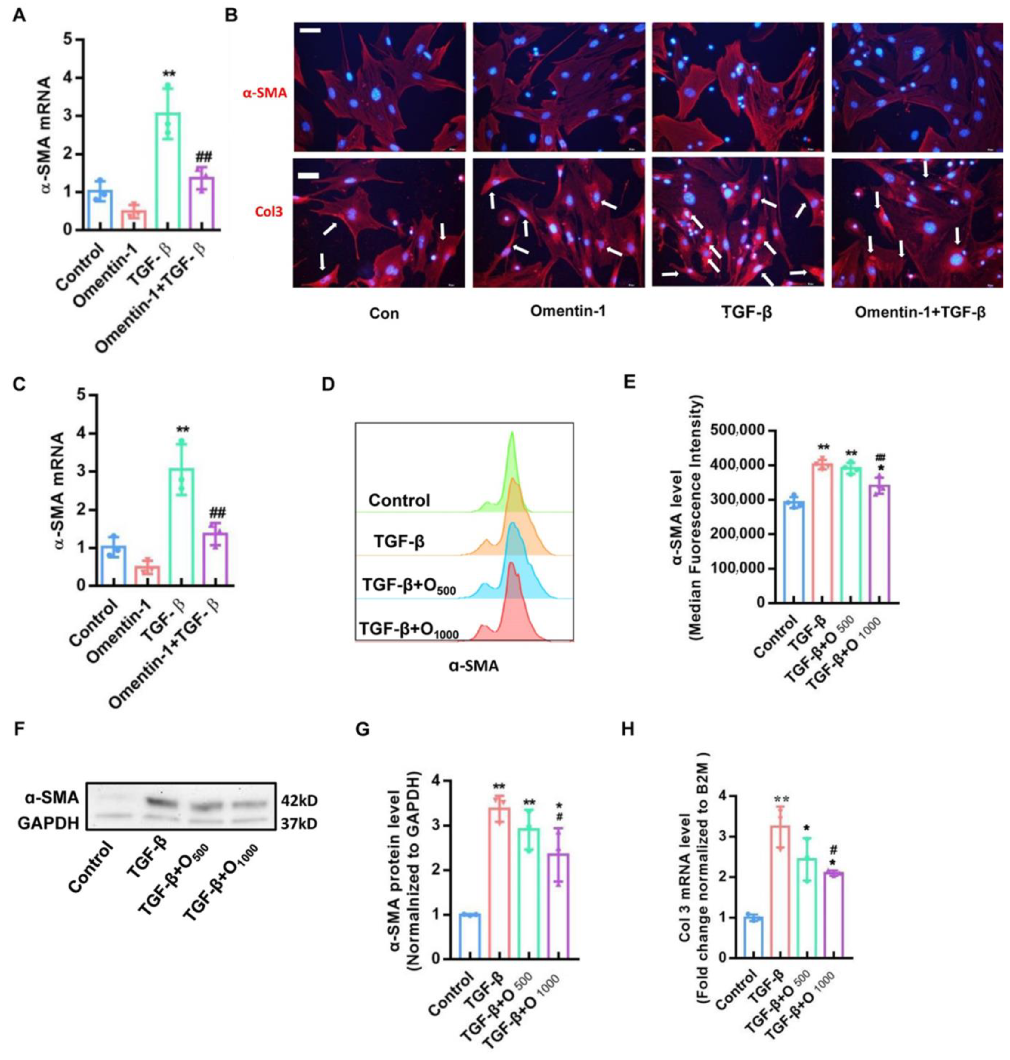 Biomedicines 10 02715 g005