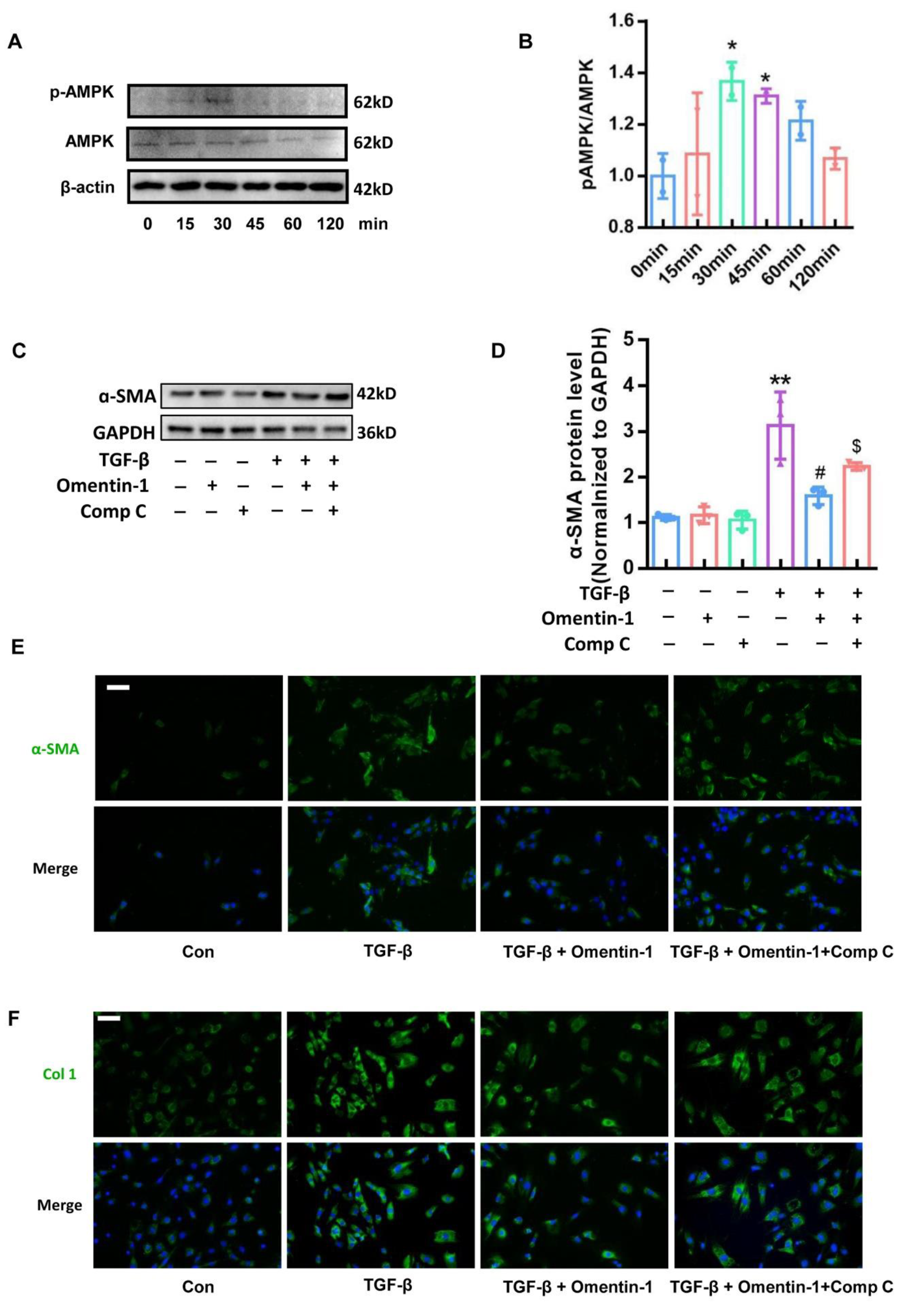 Biomedicines 10 02715 g007