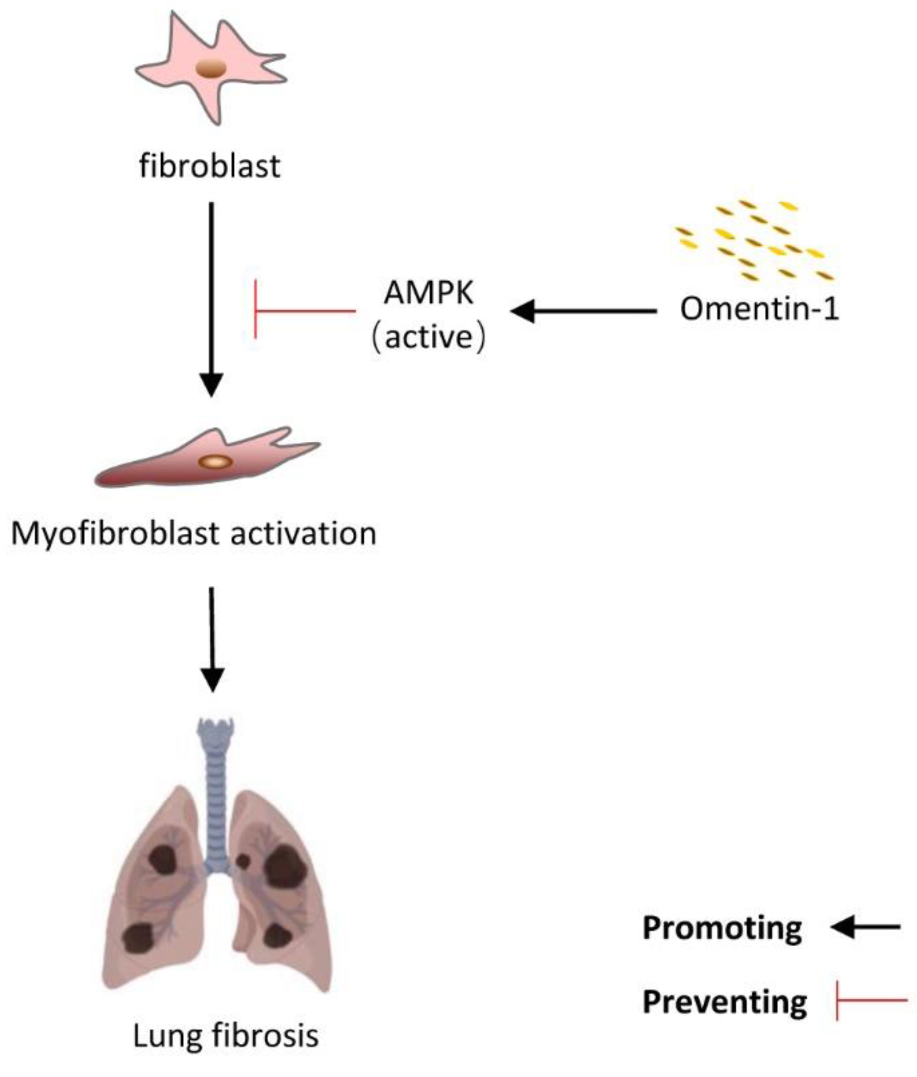 Biomedicines 10 02715 g008