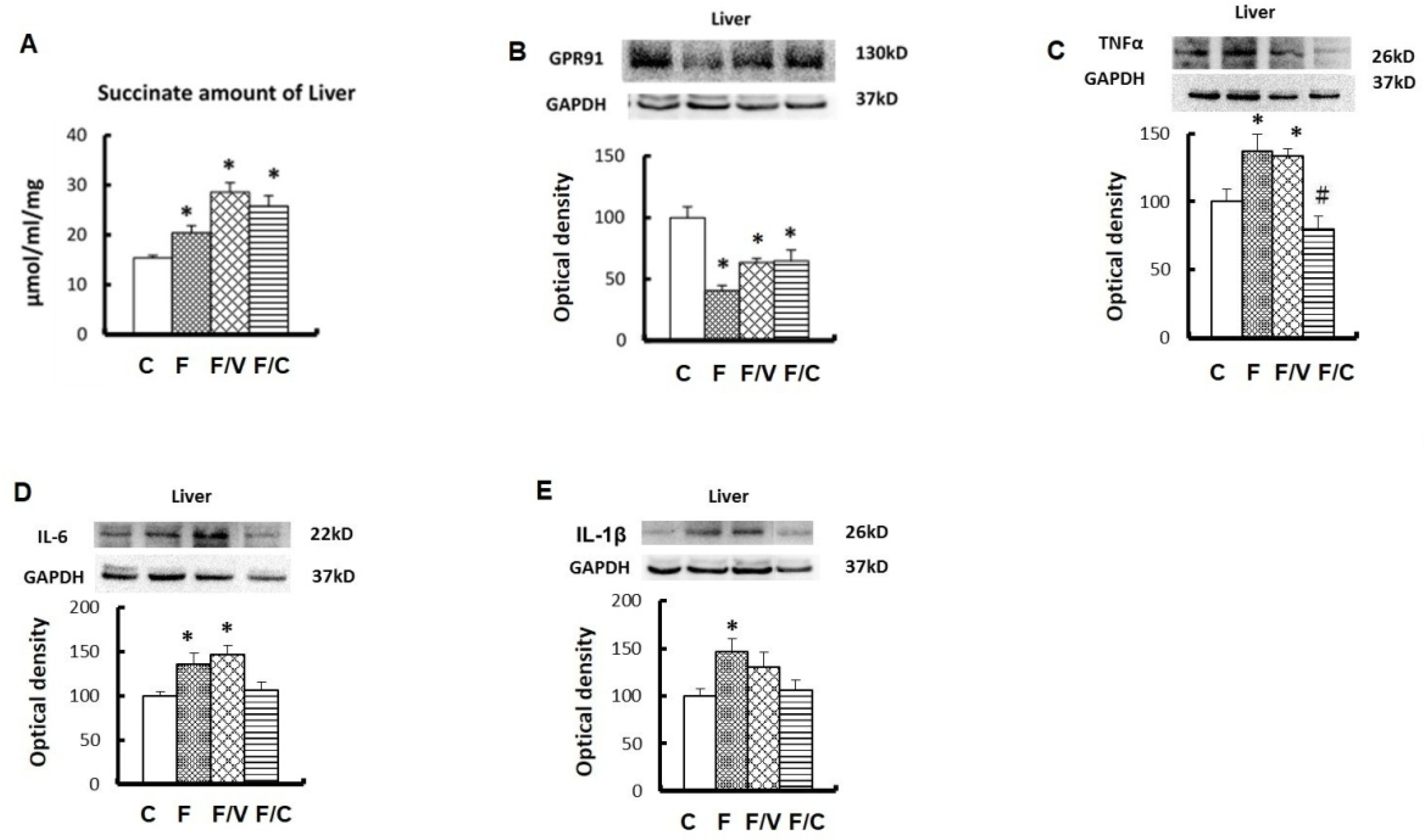 Biomedicines 10 02716 g002