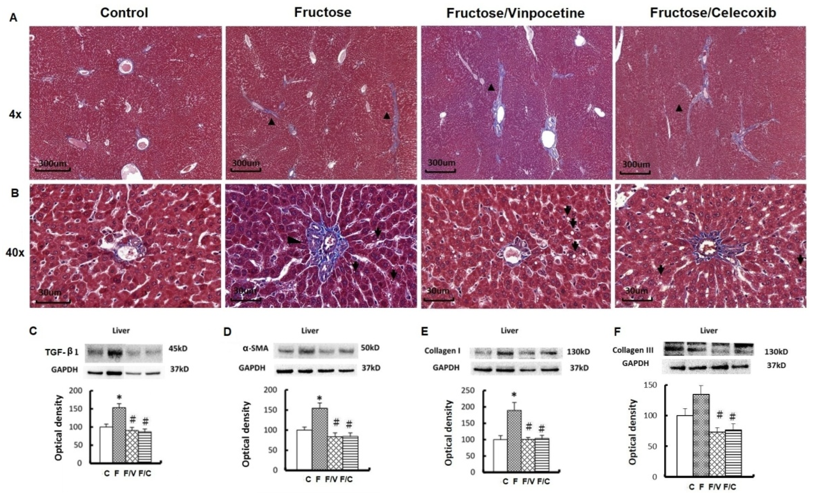 Biomedicines 10 02716 g003