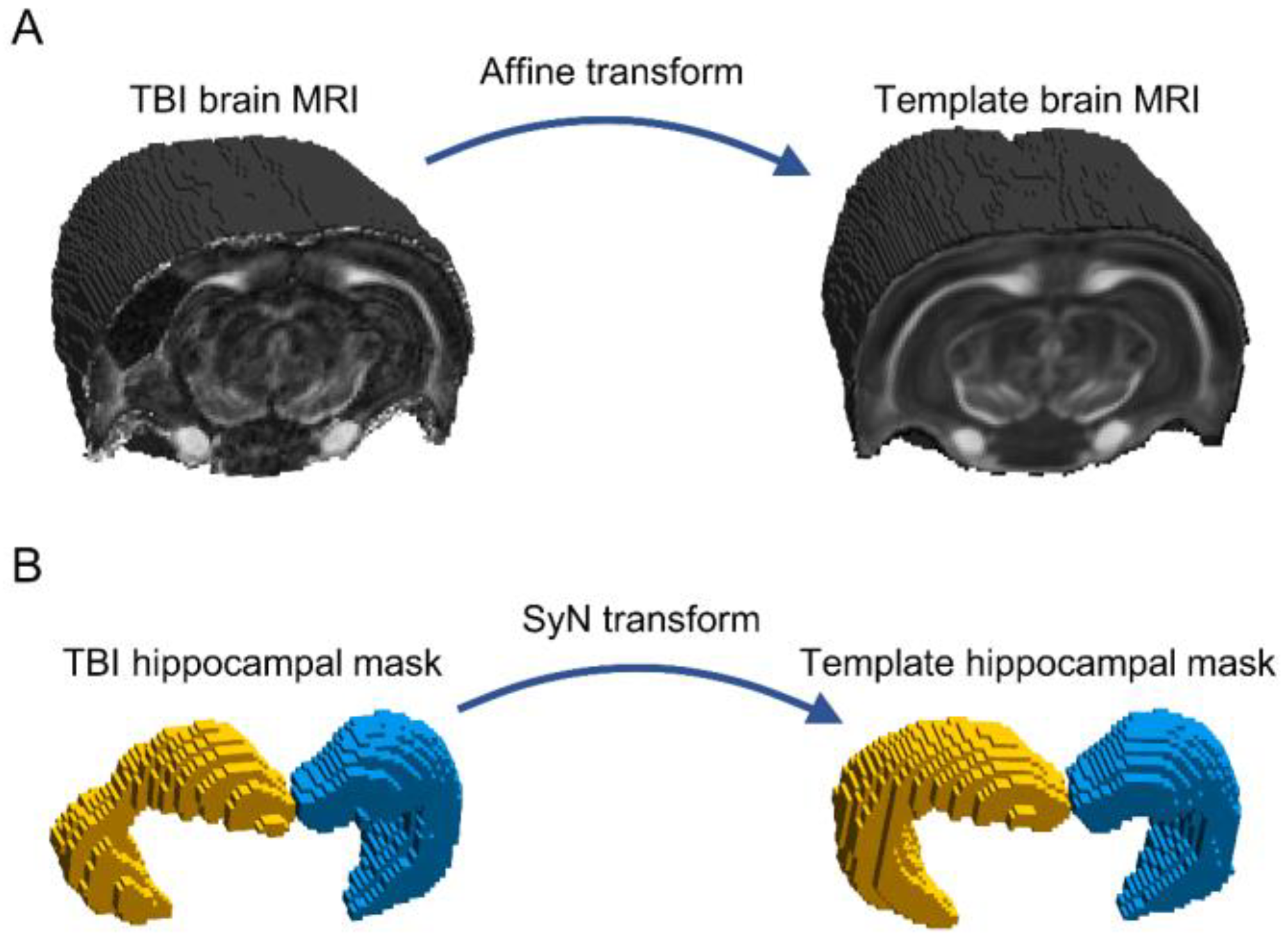 Biomedicines 10 02721 g003 Biomedicines 10 02721 g003